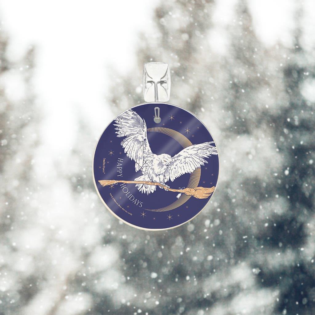 Harry Potter (Hedwig Delivery) StarFire Prints™ Glass Art SPCIR898