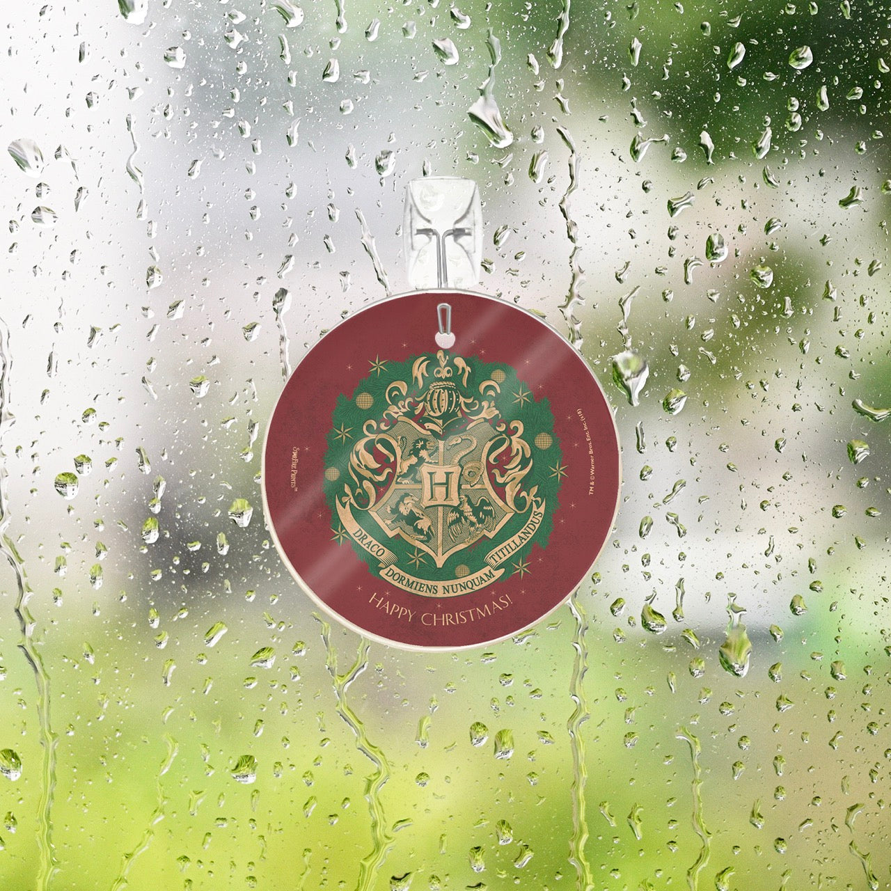 Harry Potter (Hogwarts Christmas) StarFire Prints™ Glass Art SPCIR899