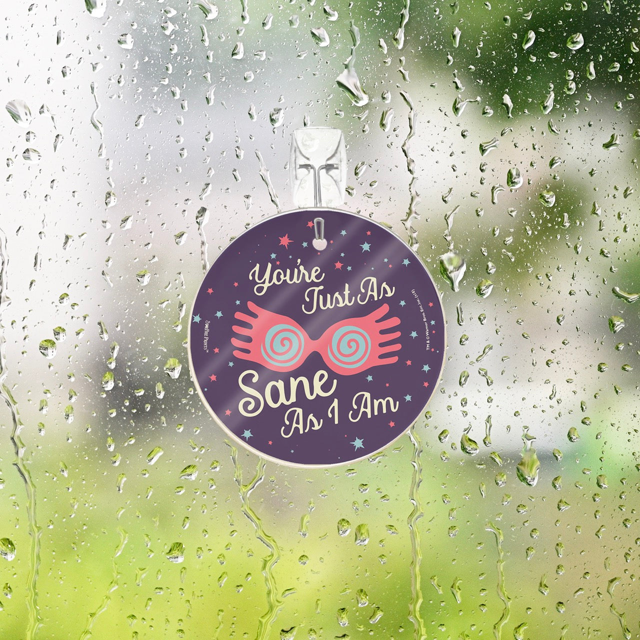 Harry Potter (You're Just As Sane As I Am) StarFire Prints™ Glass Art SPCIR902