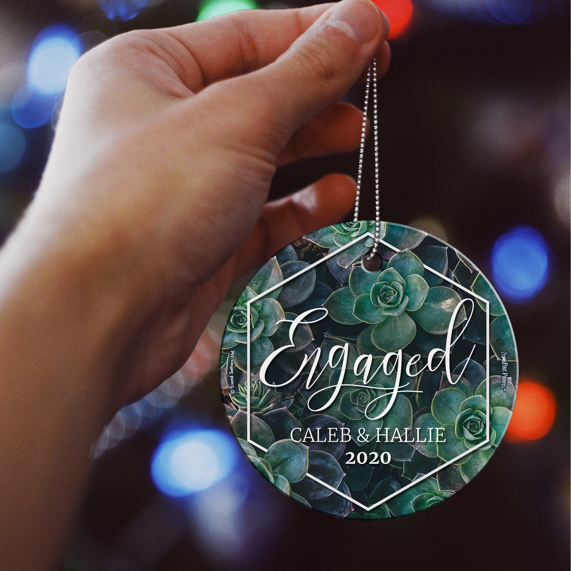 Engagement Collection (First Christmas Engaged Succulents - Personalized) StarFire Prints Hanging Glass Print SPCIR948