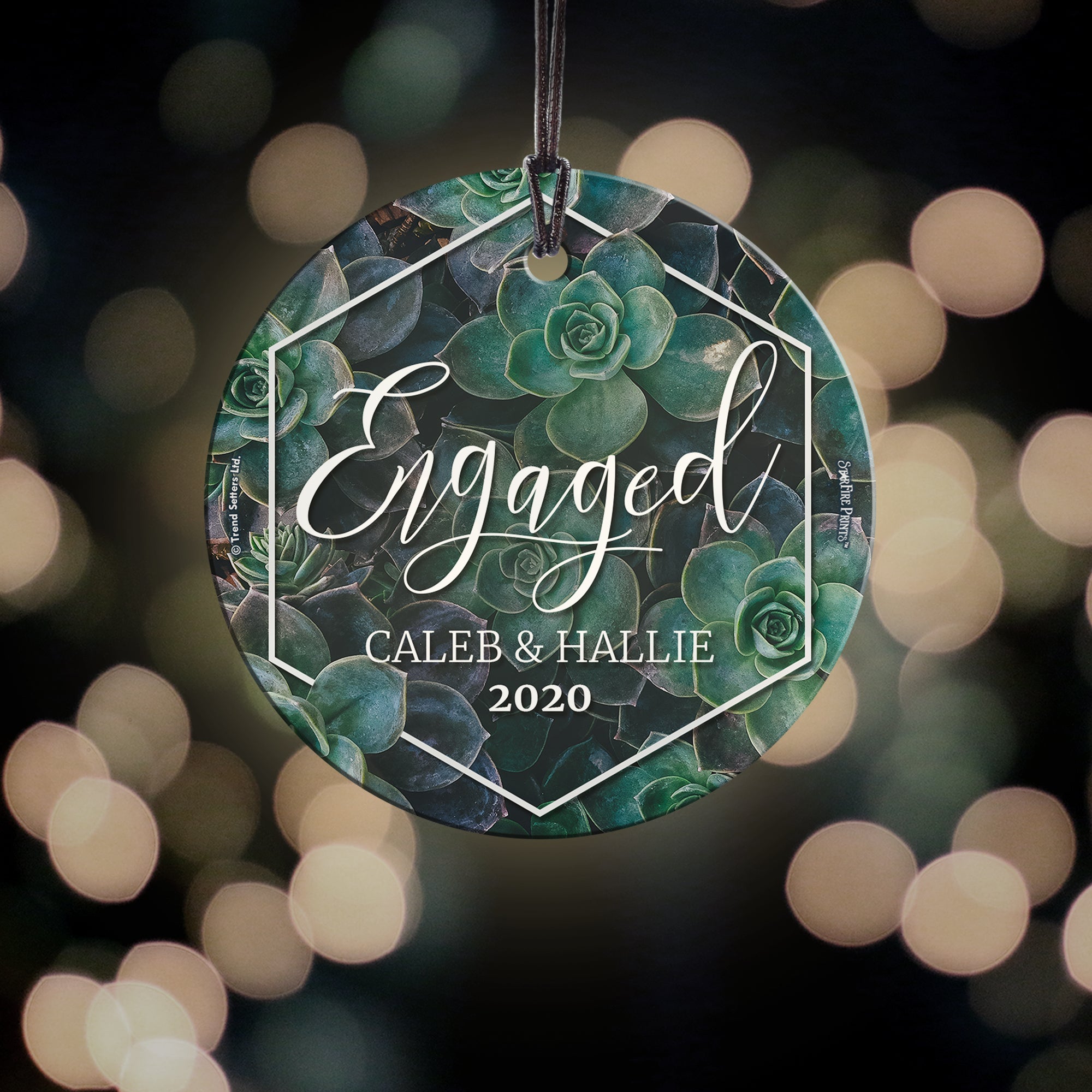 Engagement Collection (First Christmas Engaged Succulents - Personalized) StarFire Prints Hanging Glass Print SPCIR948