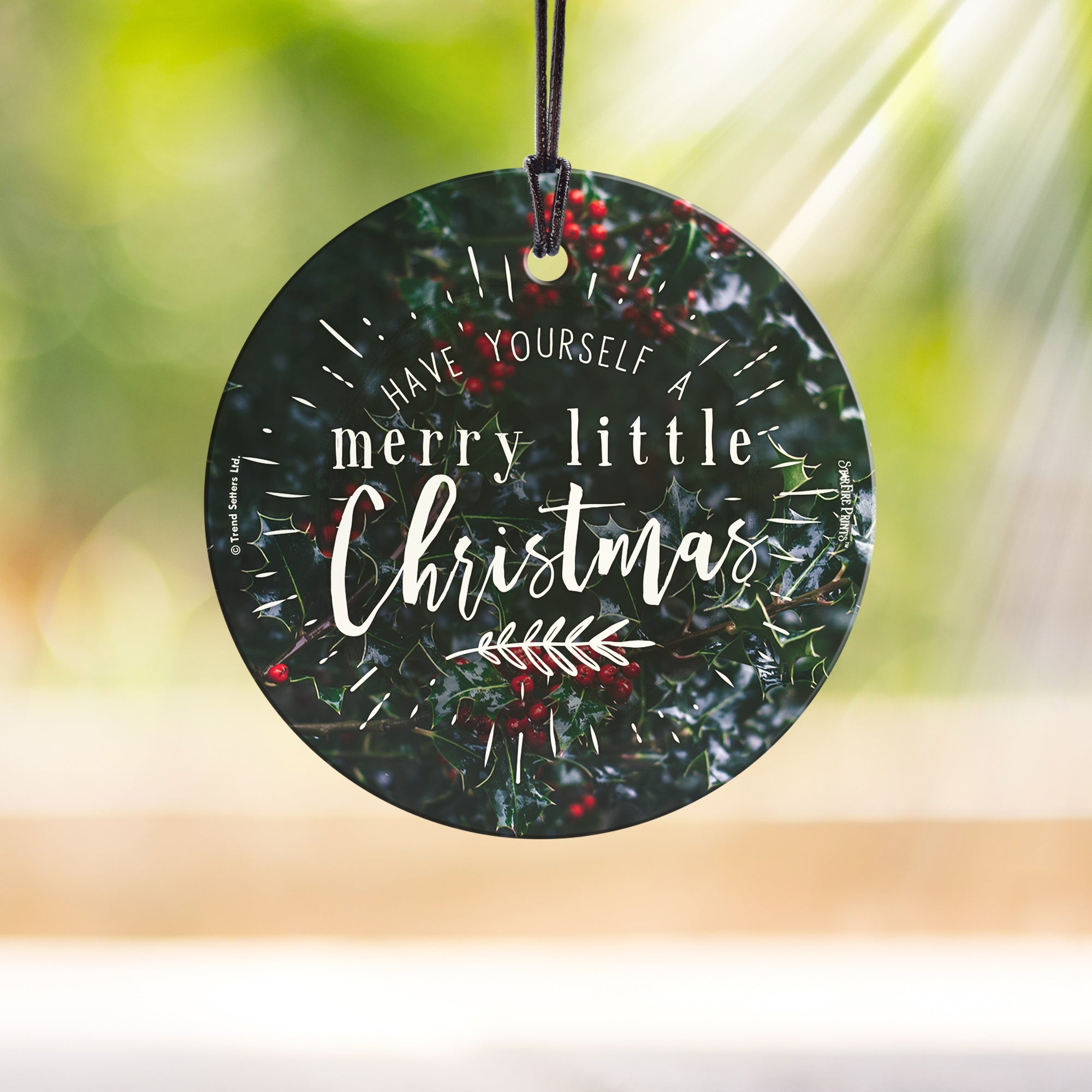 Christmas Collection (Have Yourself a Merry Little Christmas - Cranberries) StarFire Prints™ Hanging Glass Print SPCIR964