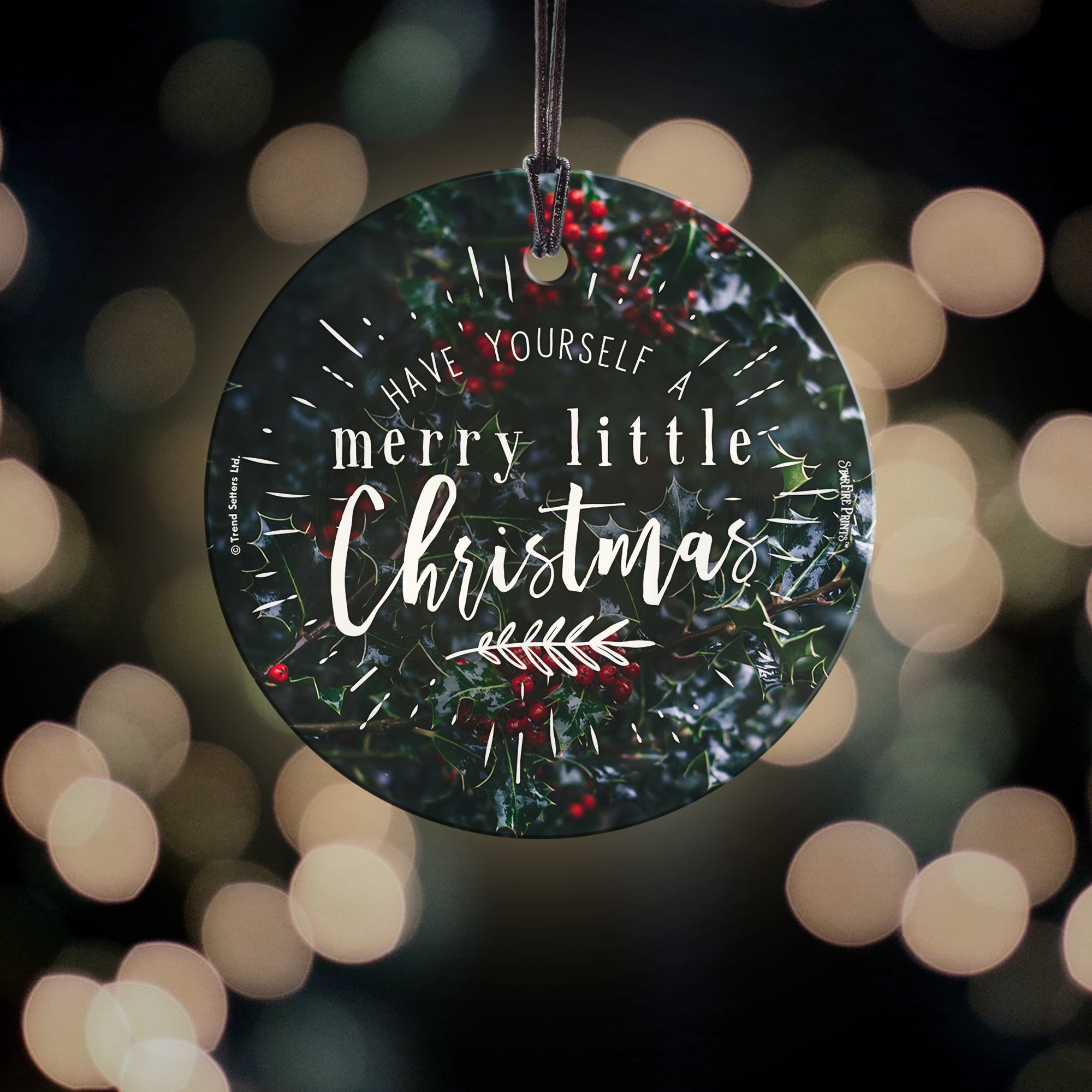 Christmas Collection (Have Yourself a Merry Little Christmas - Cranberries) StarFire Prints™ Hanging Glass Print SPCIR964