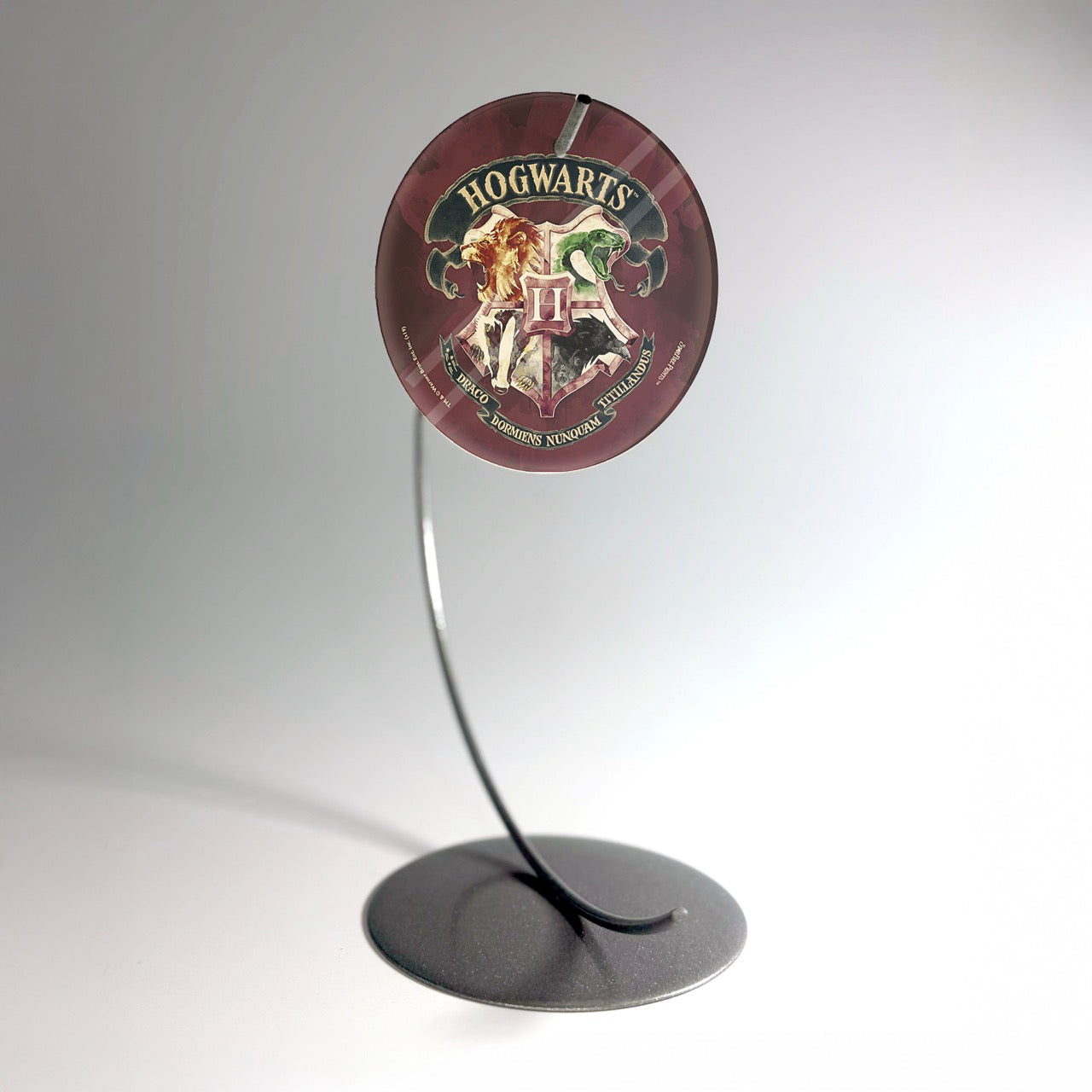 Harry Potter (Draco Dormiens Nunquam Titillandus) StarFire Prints™ Glass Art SPCIR996