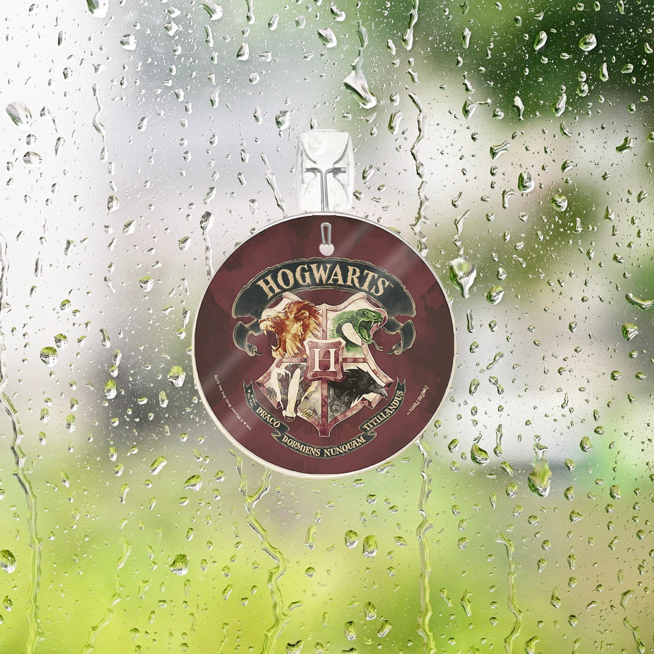 Harry Potter (Draco Dormiens Nunquam Titillandus) StarFire Prints™ Glass Art SPCIR996