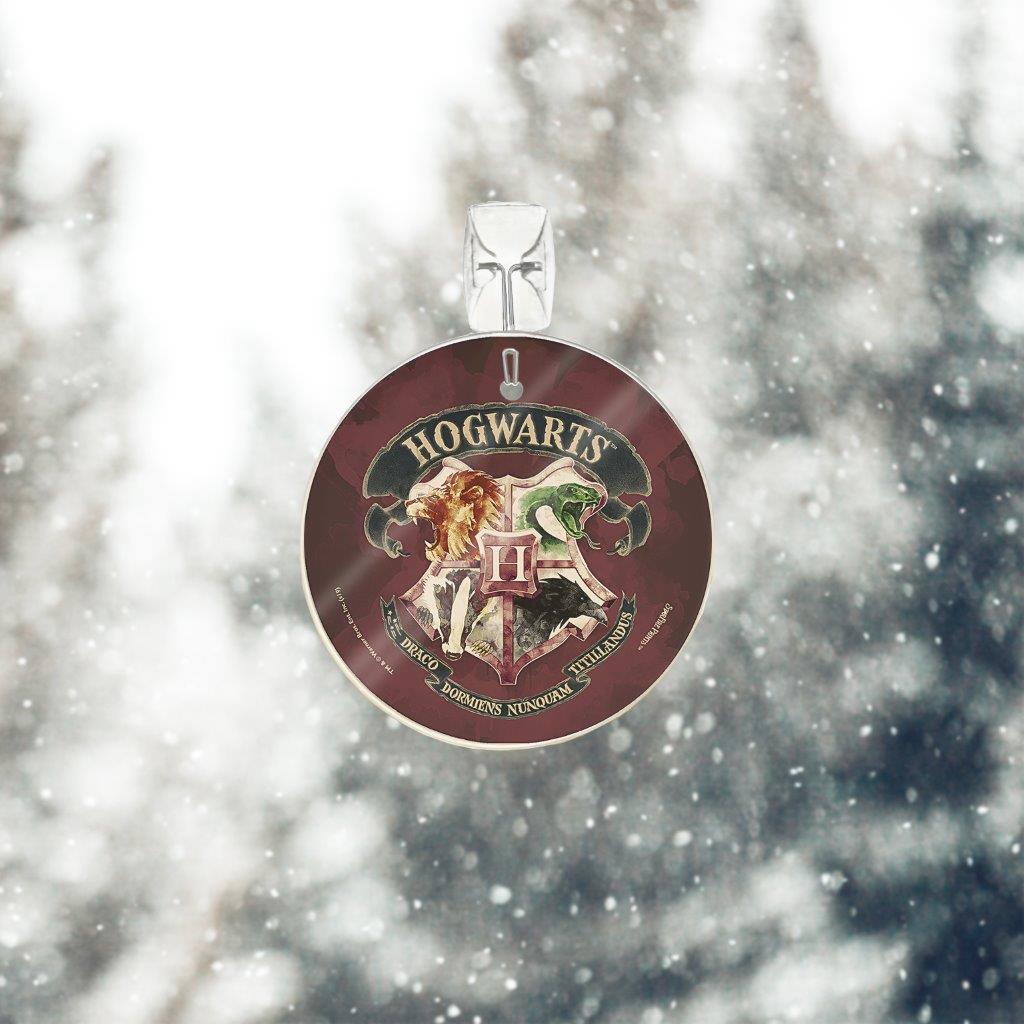 Harry Potter (Draco Dormiens Nunquam Titillandus) StarFire Prints™ Glass Art SPCIR996