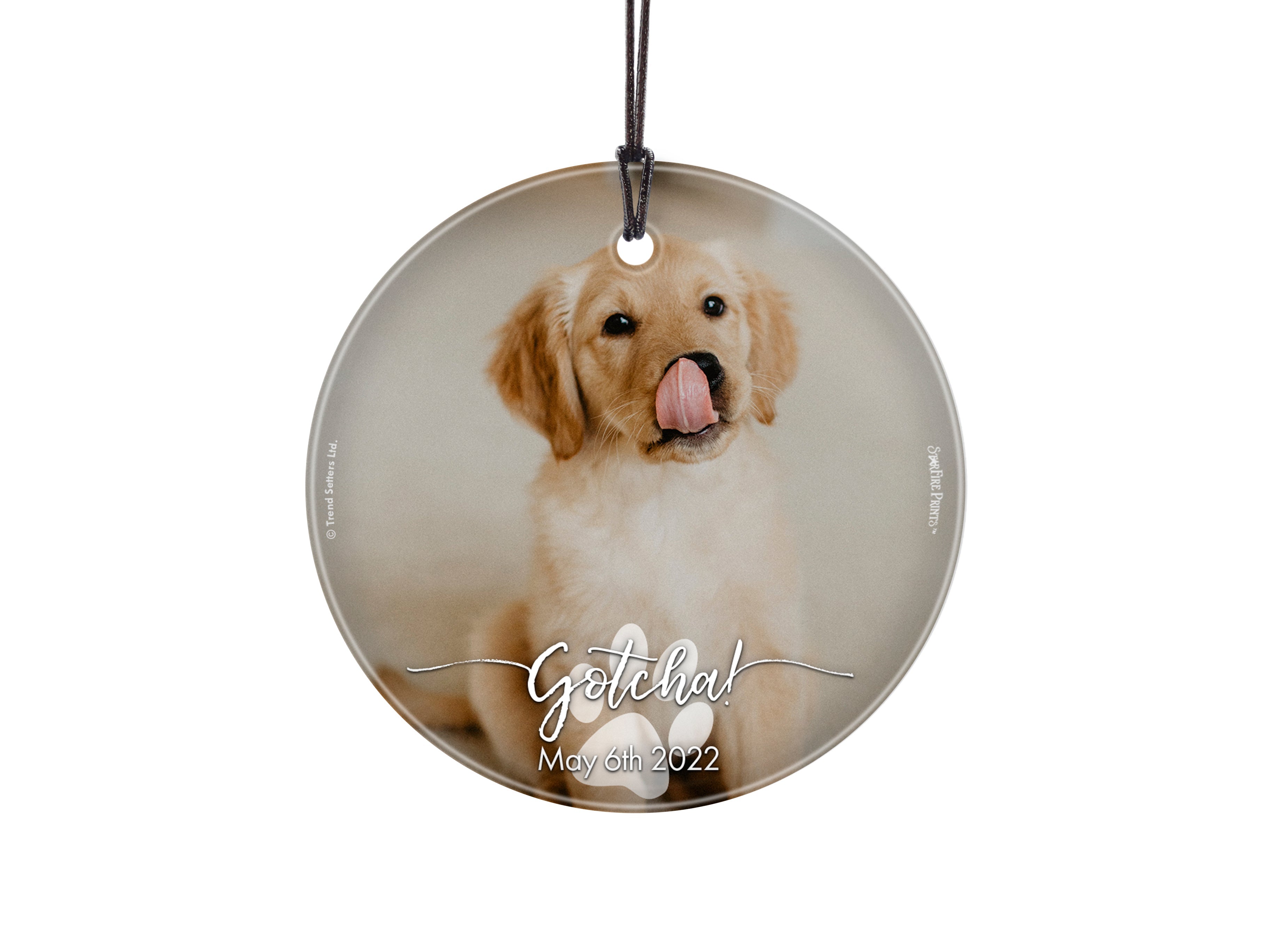 Pet Collection (Gotcha Dog - Personalize with Image) StarFire Prints Hanging Glass Print