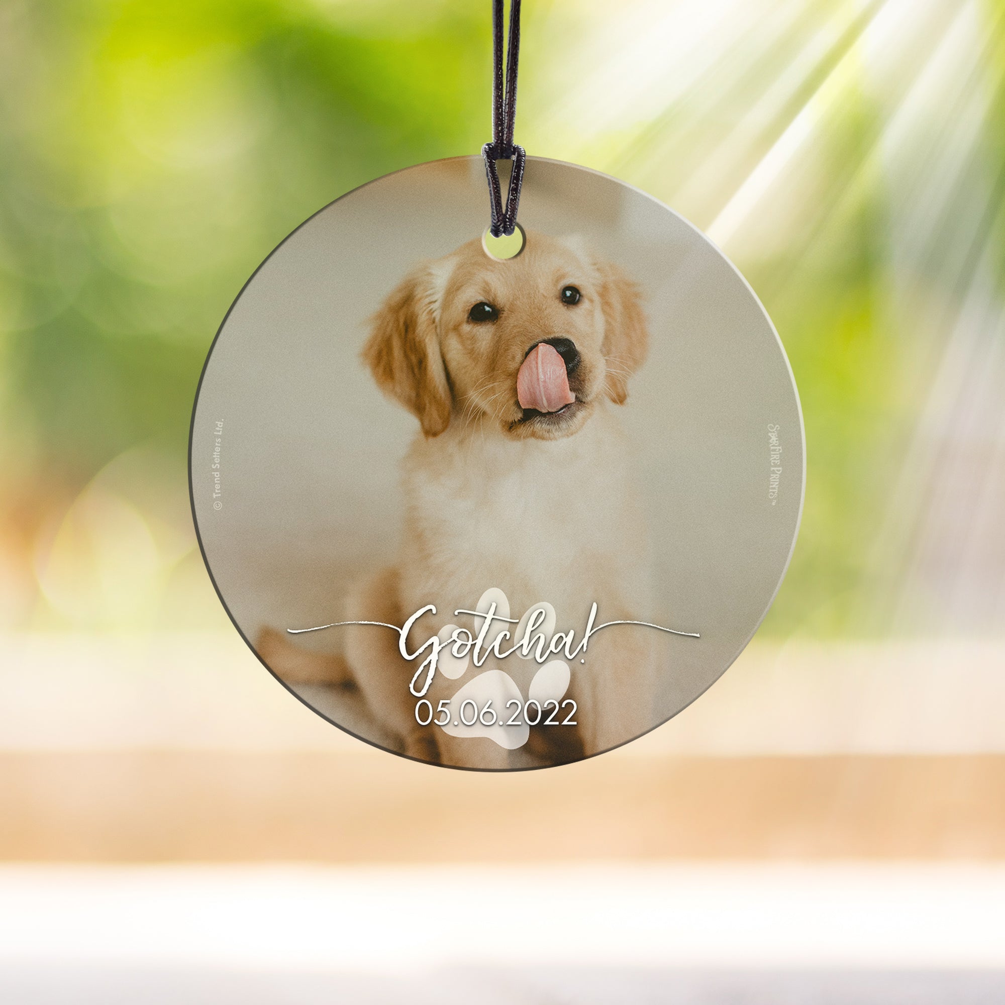 Pet Collection (Gotcha Dog - Personalize with Image) StarFire Prints Hanging Glass Print