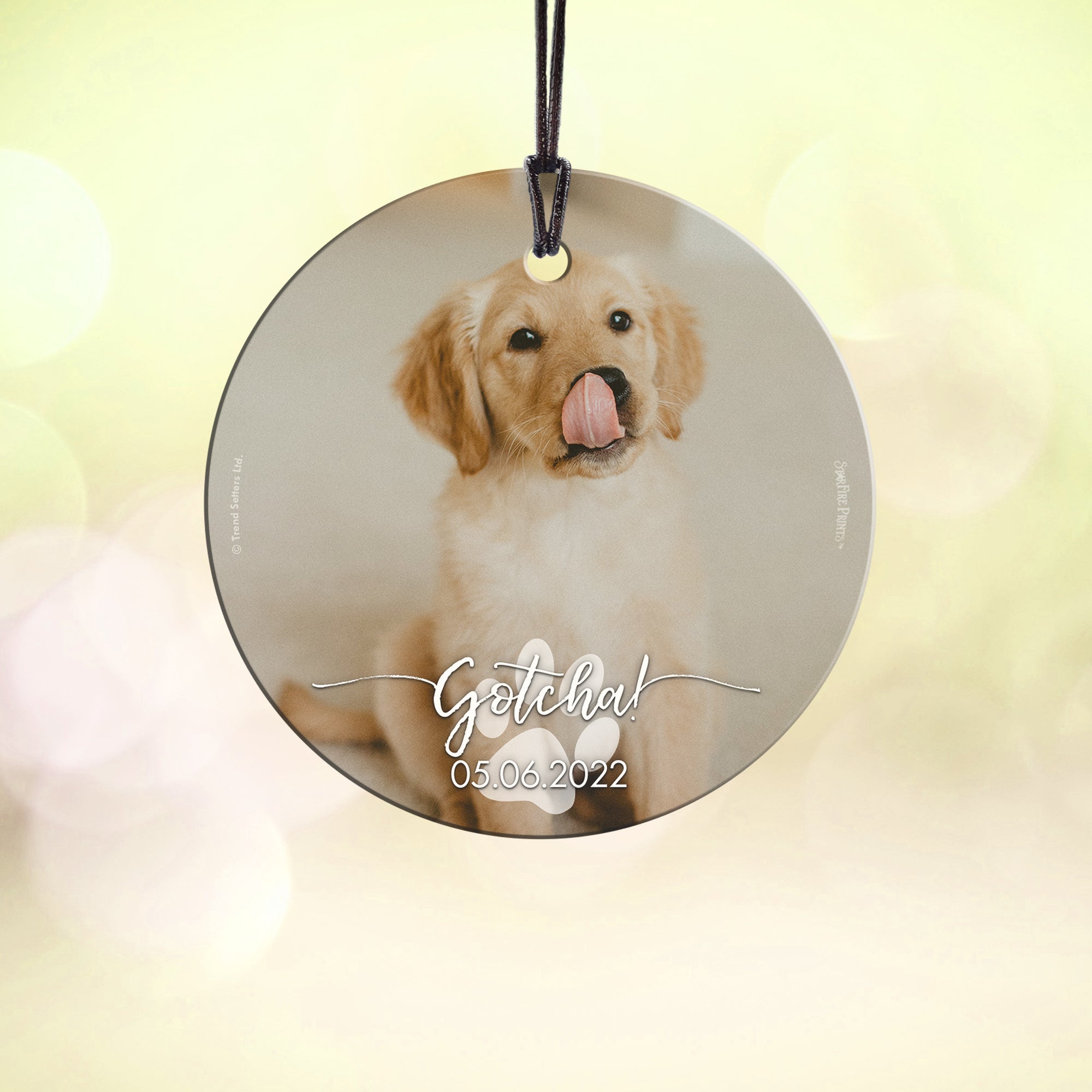 Pet Collection (Gotcha Dog - Personalize with Image) StarFire Prints Hanging Glass Print