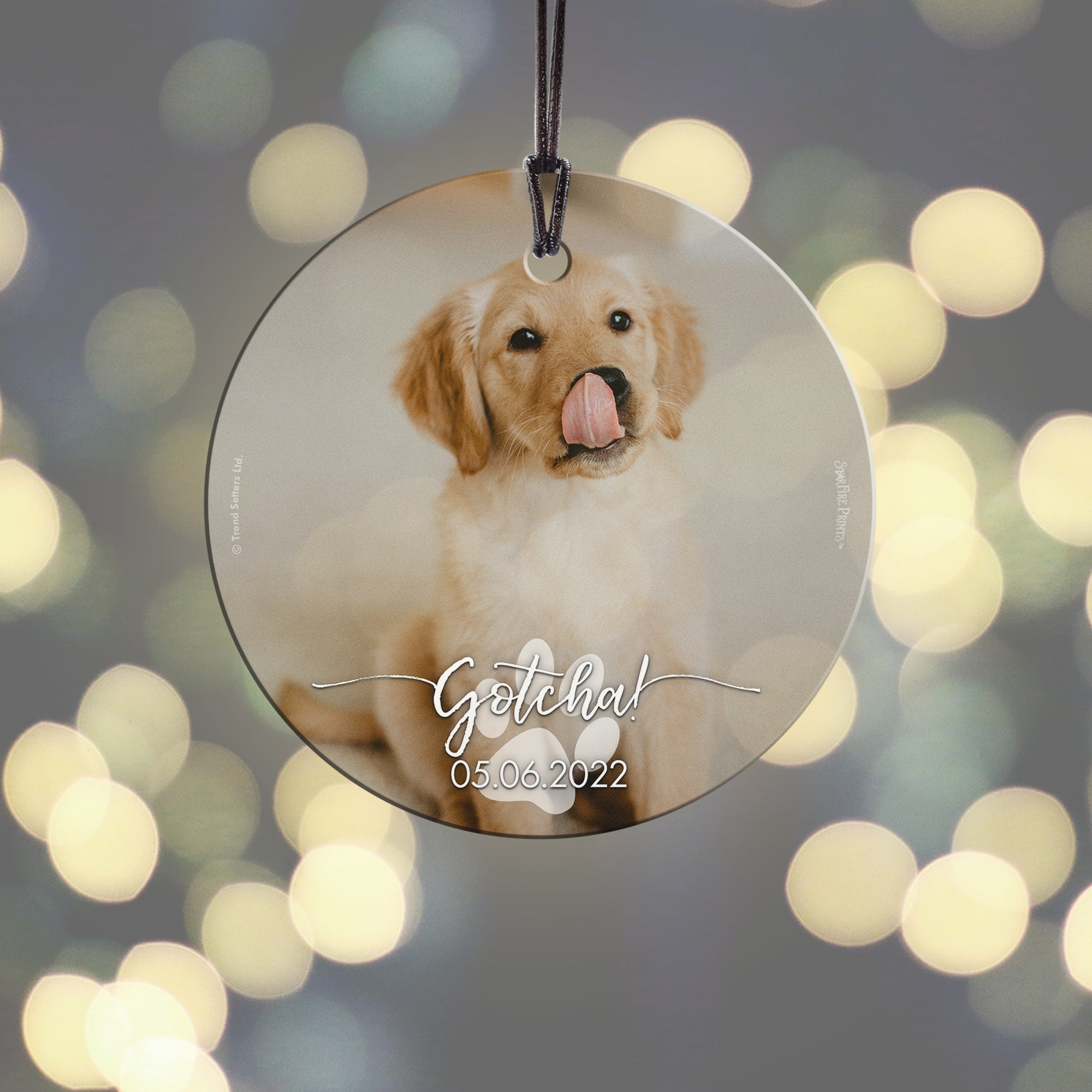 Pet Collection (Gotcha Dog - Personalize with Image) StarFire Prints Hanging Glass Print