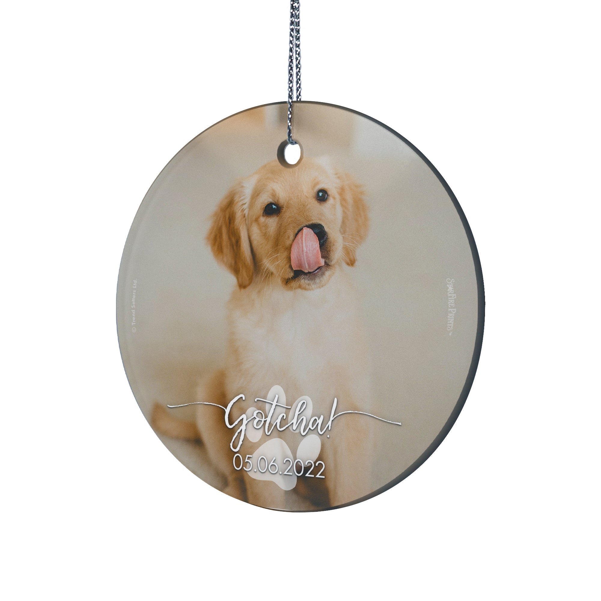 Pet Collection (Gotcha Dog - Personalize with Image) StarFire Prints Hanging Glass Print