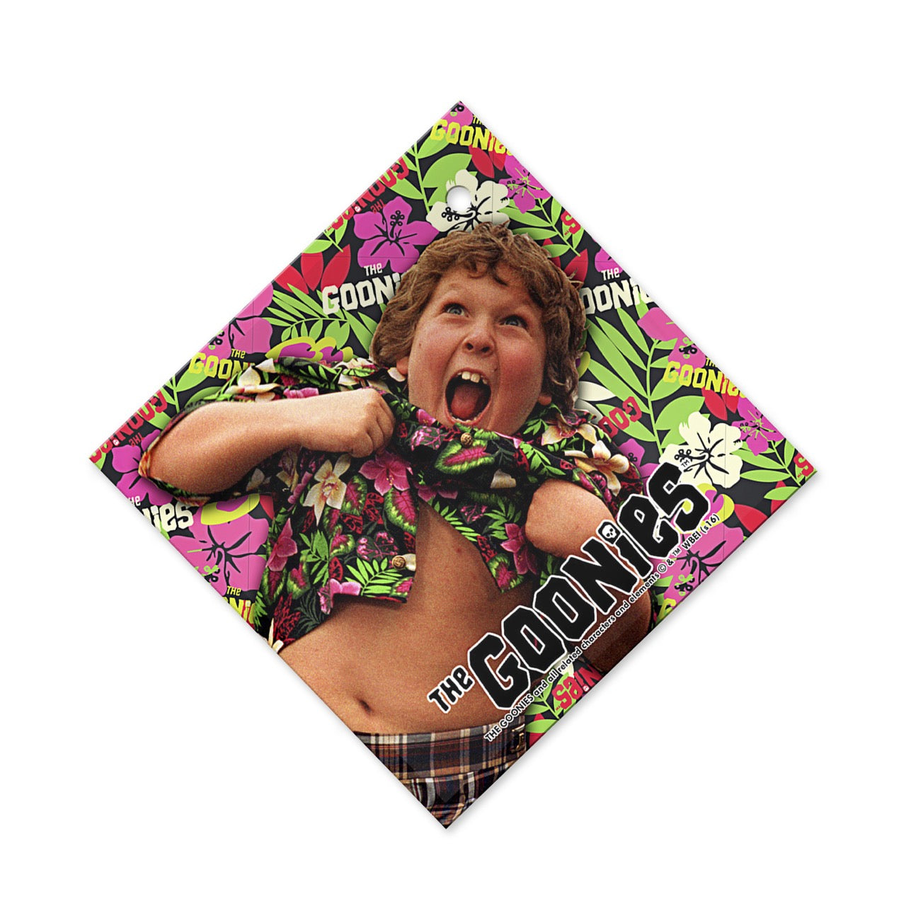 The Goonies (Chunk) StarFire Prints™ Glass Art SPSQU635