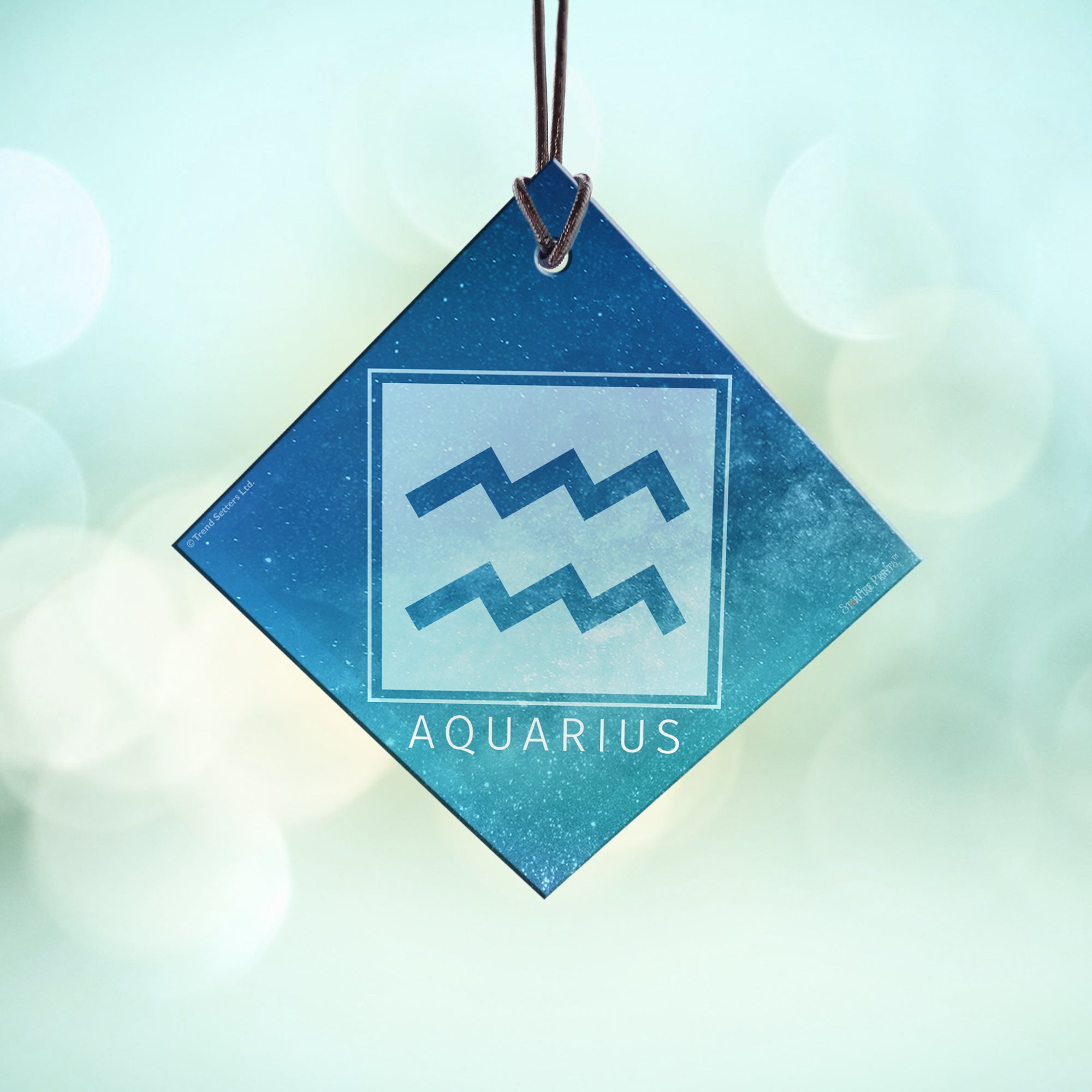 Zodiac Collection (Aquarius) StarFire Prints™ Hanging Glass Print SPSQU824