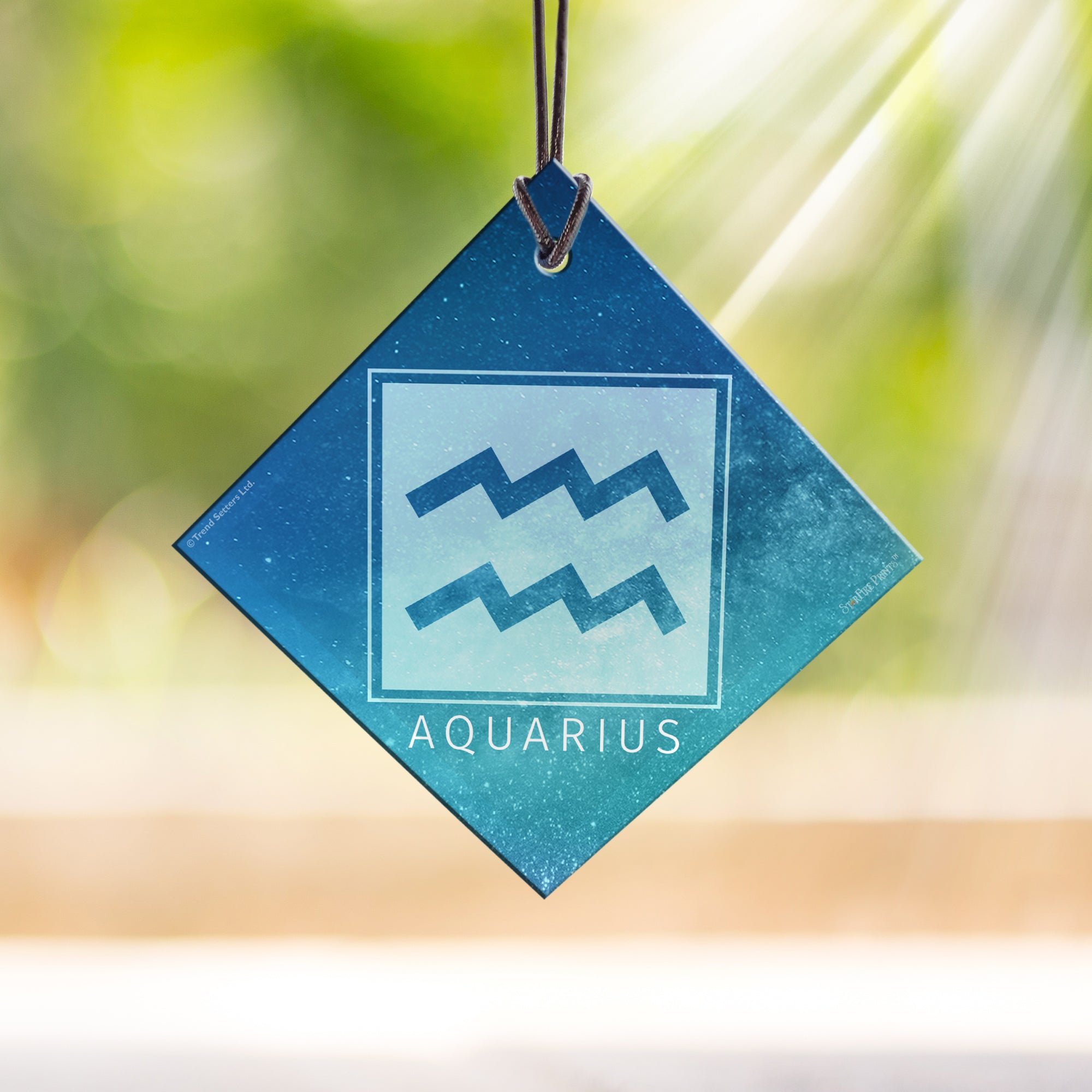 Zodiac Collection (Aquarius) StarFire Prints™ Hanging Glass Print SPSQU824