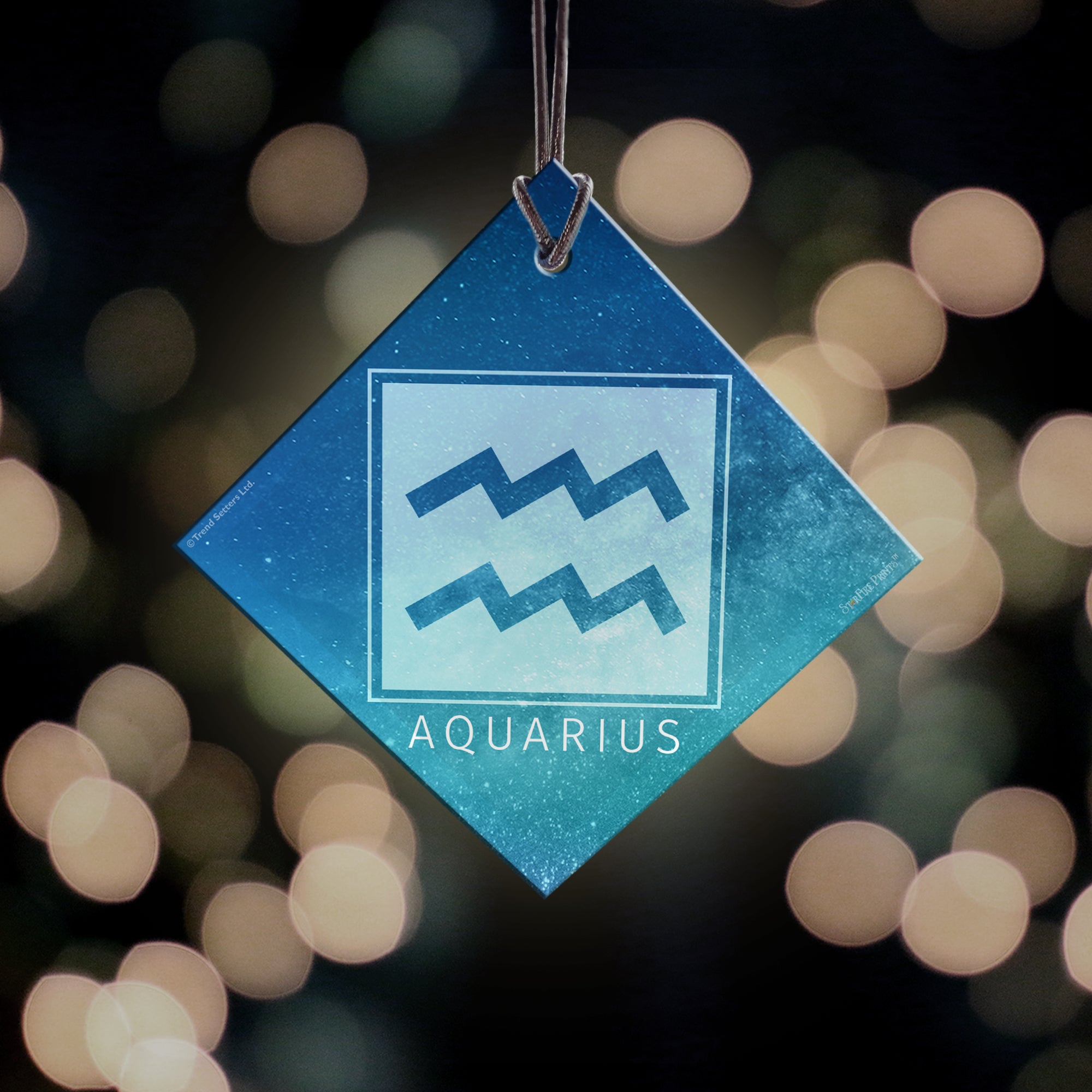 Zodiac Collection (Aquarius) StarFire Prints™ Hanging Glass Print SPSQU824