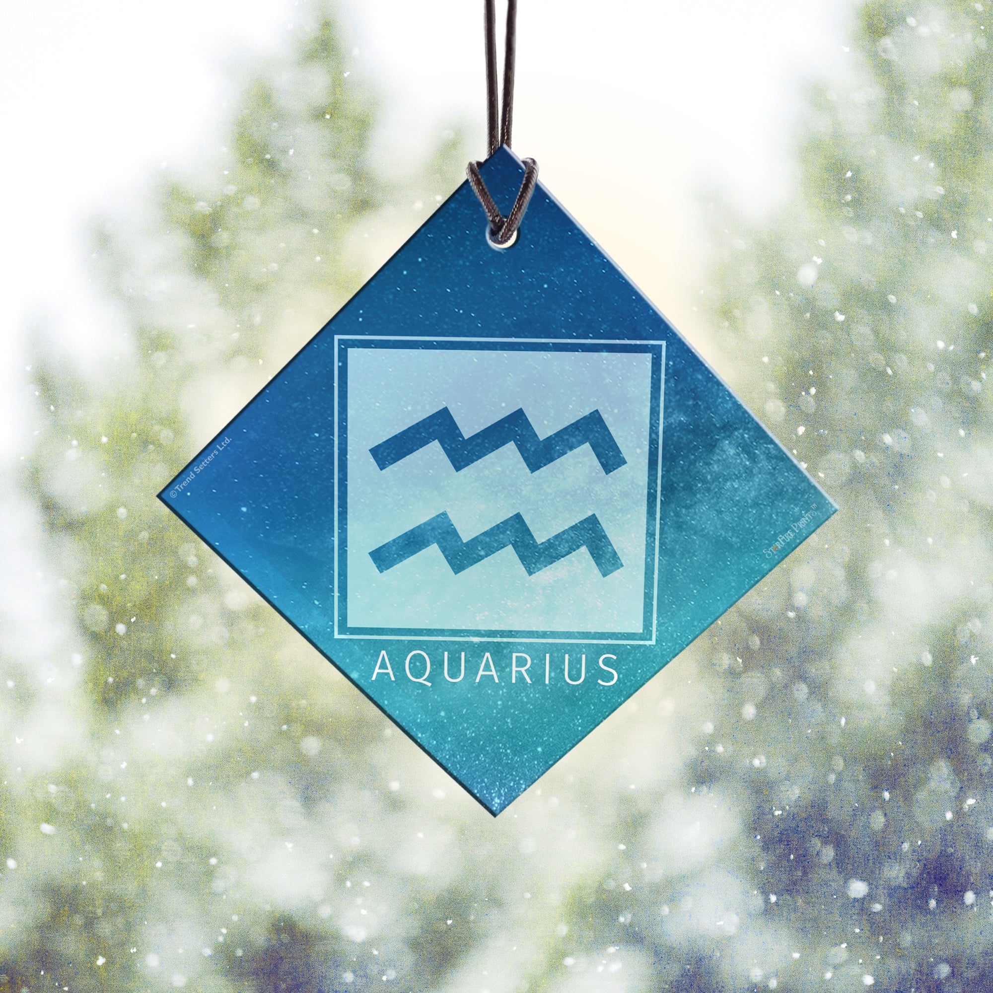 Zodiac Collection (Aquarius) StarFire Prints™ Hanging Glass Print SPSQU824