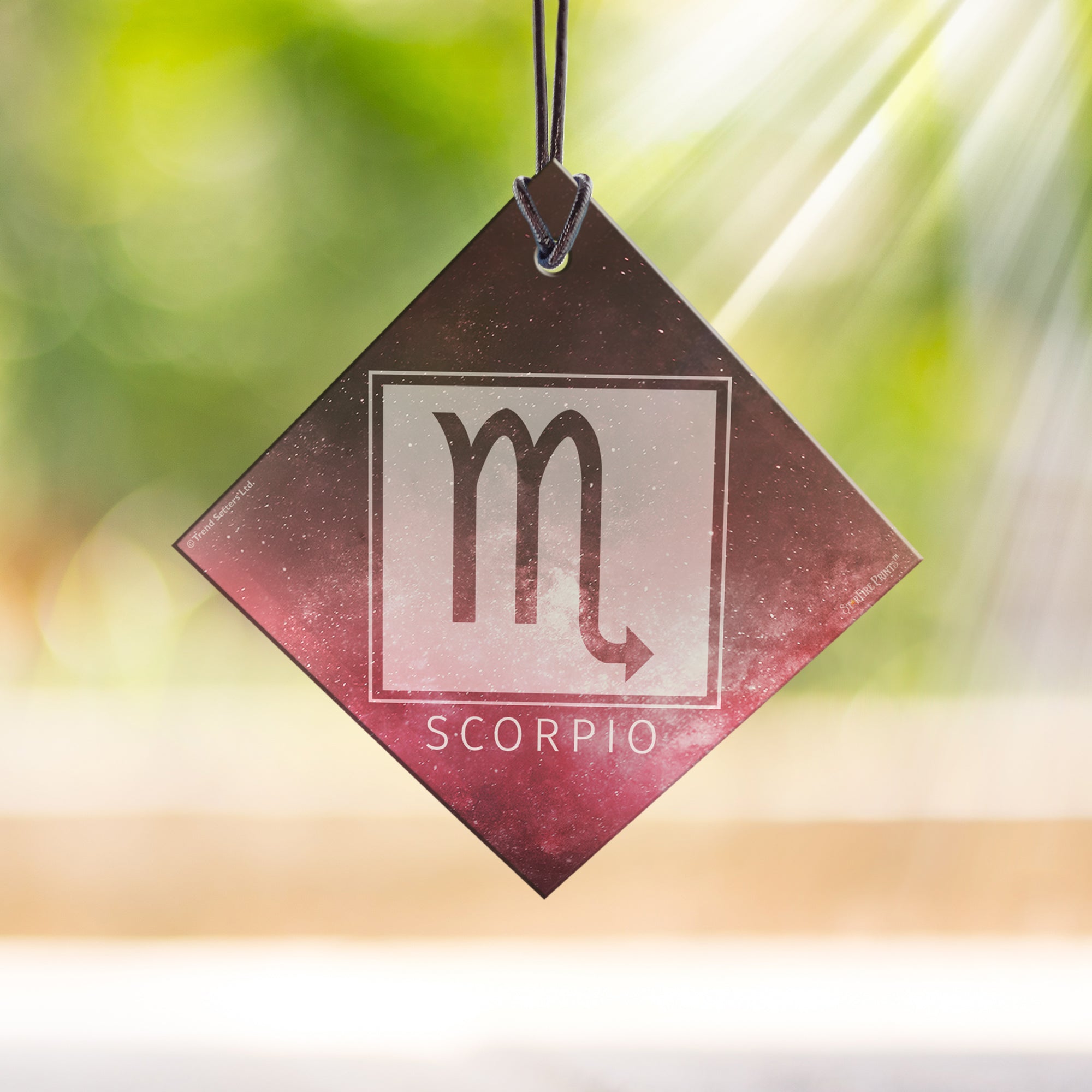 Zodiac Collection (Scorpio) StarFire Prints™ Hanging Glass Print SPSQU833