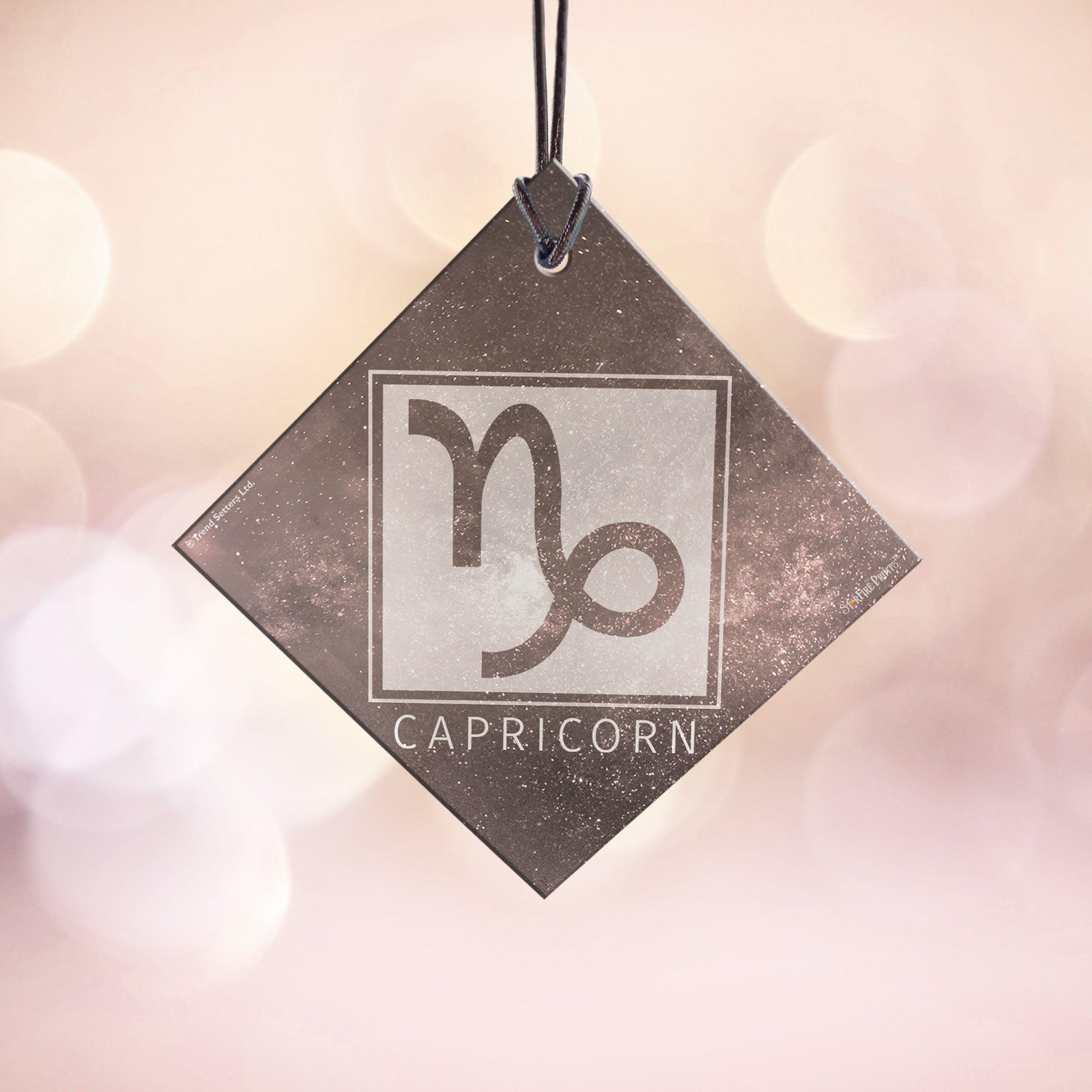 Zodiac Collection (Capricorn) StarFire Prints™ Hanging Glass Print SPSQU835