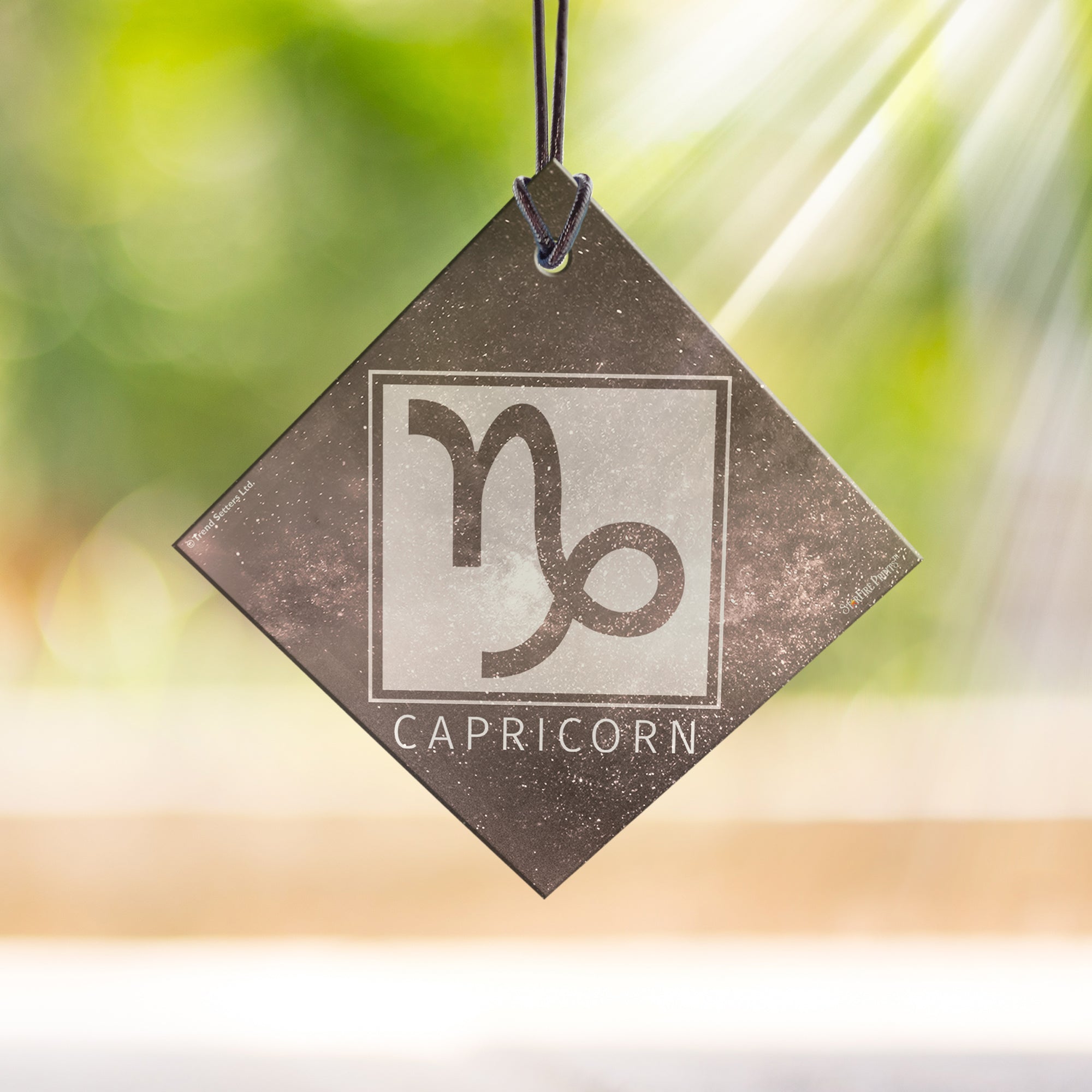 Zodiac Collection (Capricorn) StarFire Prints™ Hanging Glass Print SPSQU835