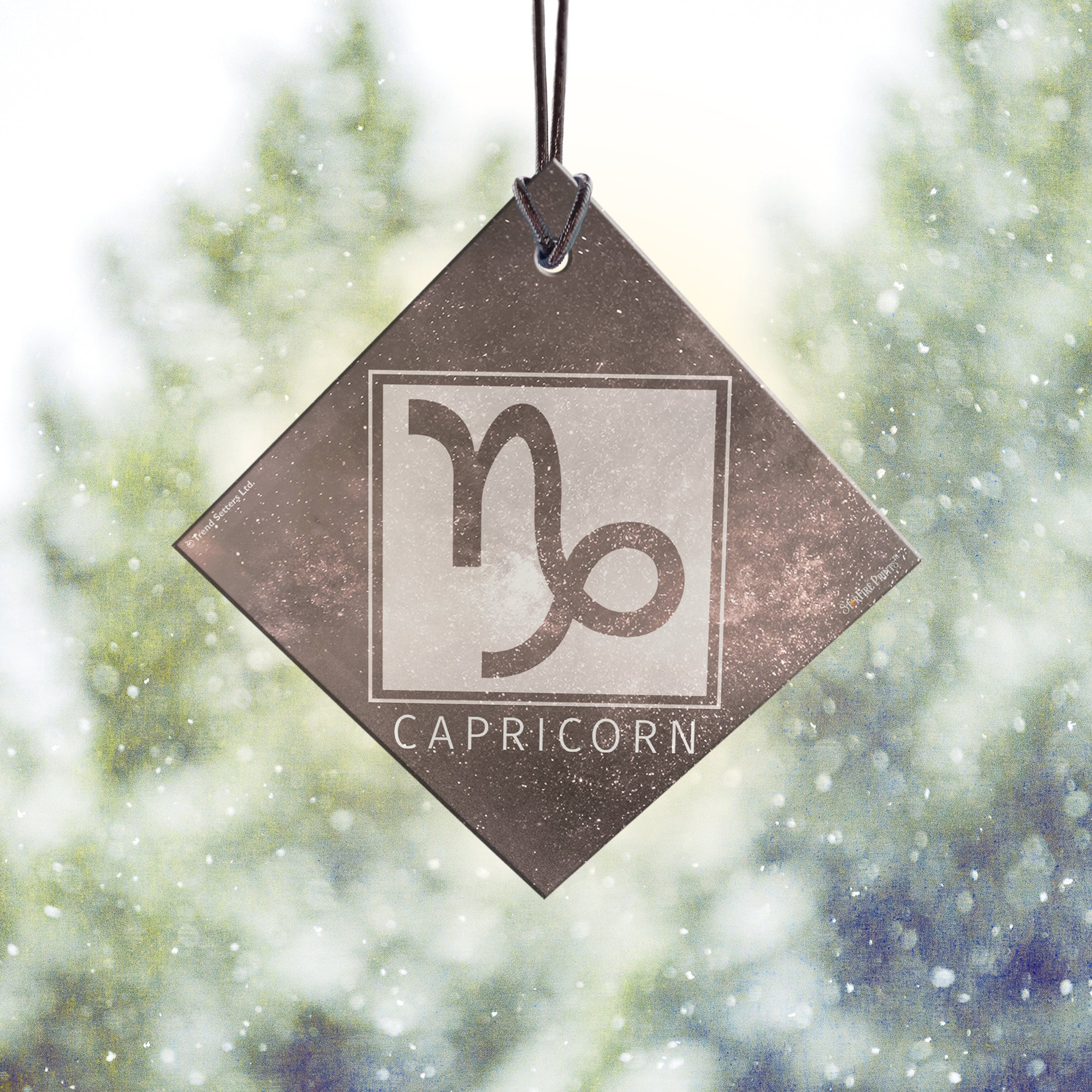 Zodiac Collection (Capricorn) StarFire Prints™ Hanging Glass Print SPSQU835