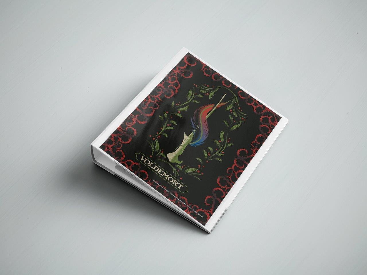 Harry Potter (Wands) TrendyPrint™ Wall Art Set TP08100026