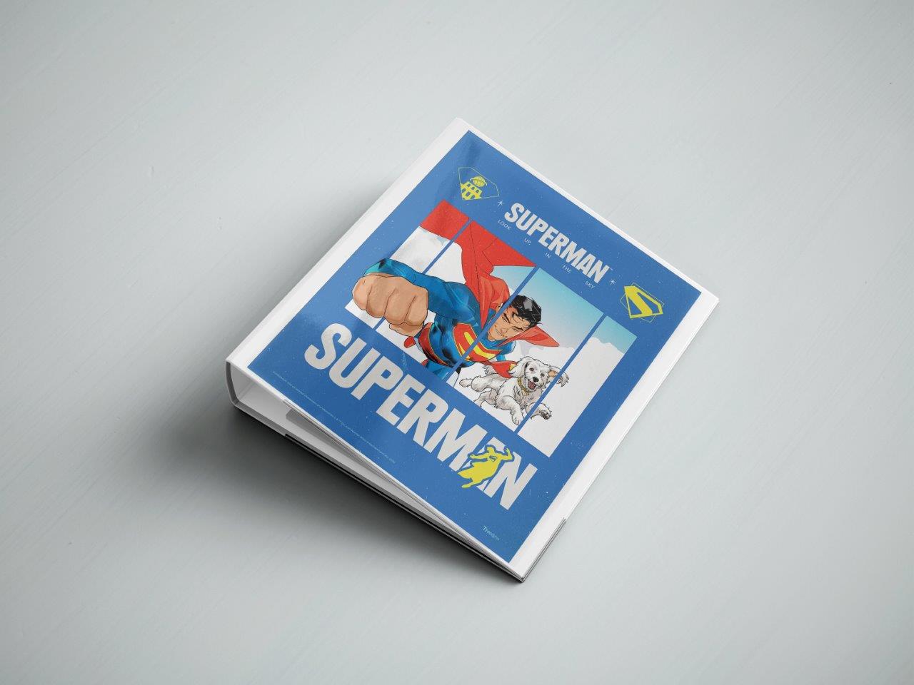 Superman (2025) (Up in the Sky) TrendyPrint™ Wall Art Set TP08100057