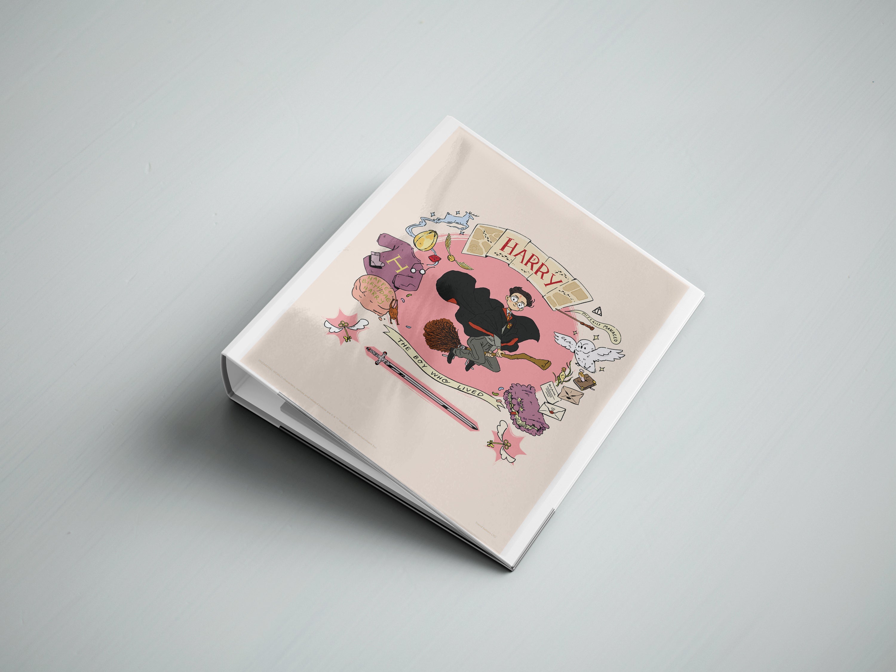 Harry Potter (Wizard Academia Characters) TrendyPrint Wall Art Set of Four TP08100072