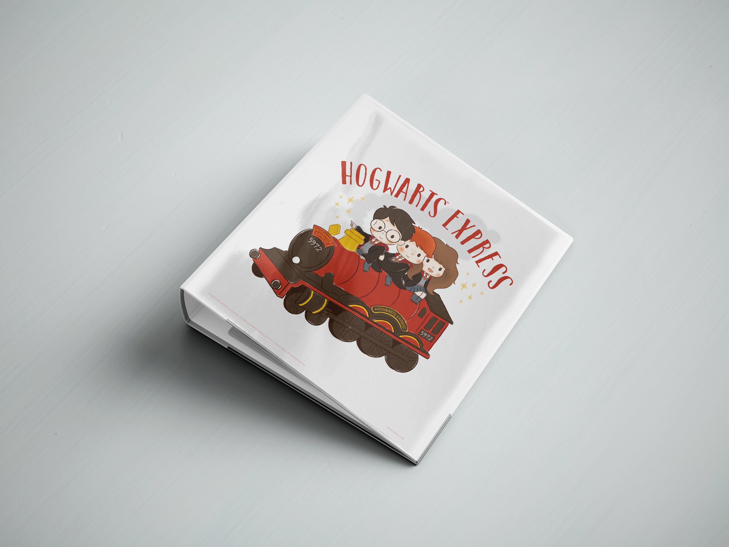 Harry Potter (Tiny Magic - Hogwarts) TrendyPrint Wall Art Set of Four TP08100073