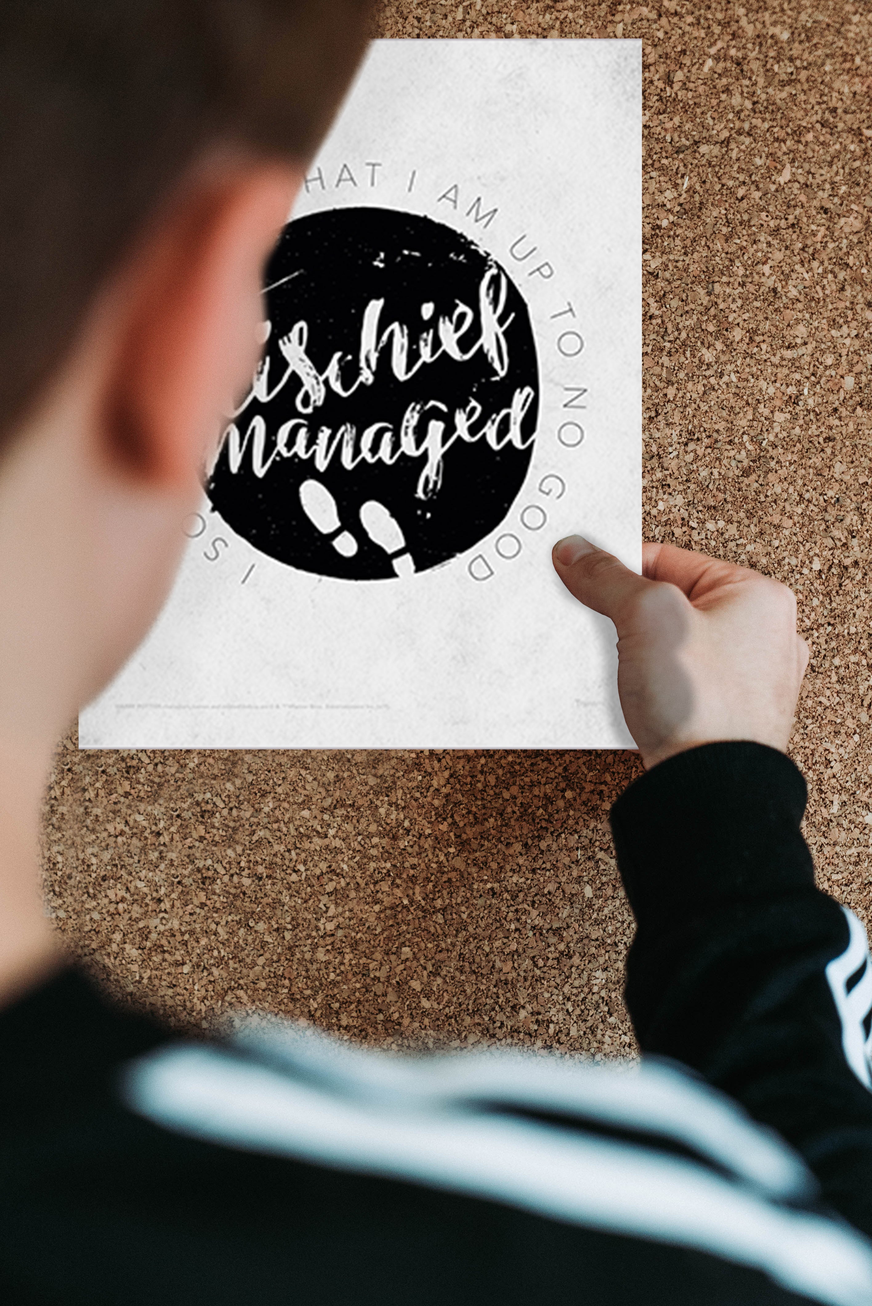 Harry Potter (Minimalistic Symbols) TrendyPrint™ Wall Art Set TP08100238