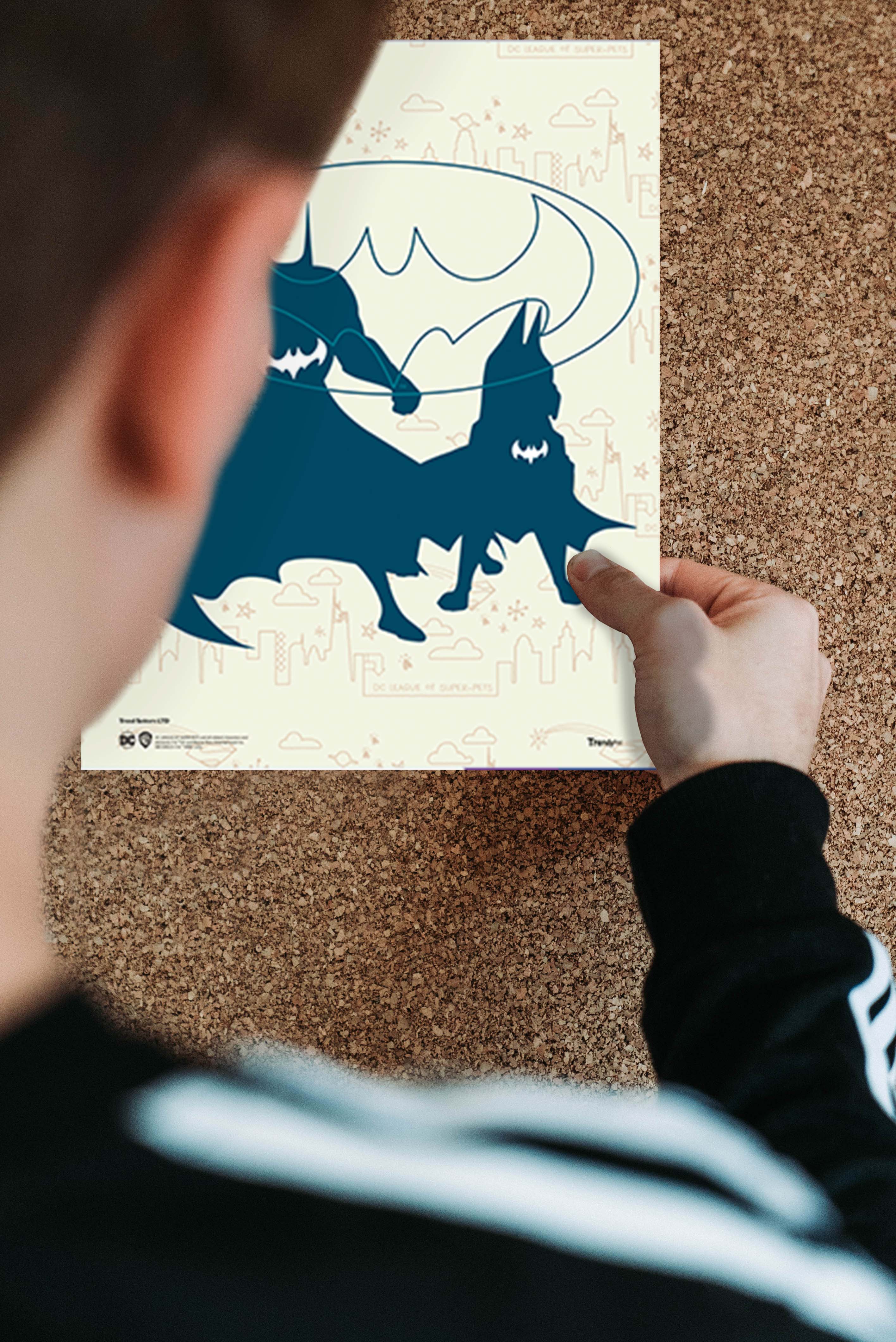 DC League of Super-Pets (Silhouettes) TrendyPrint™ Wall Art Set  TP08100267