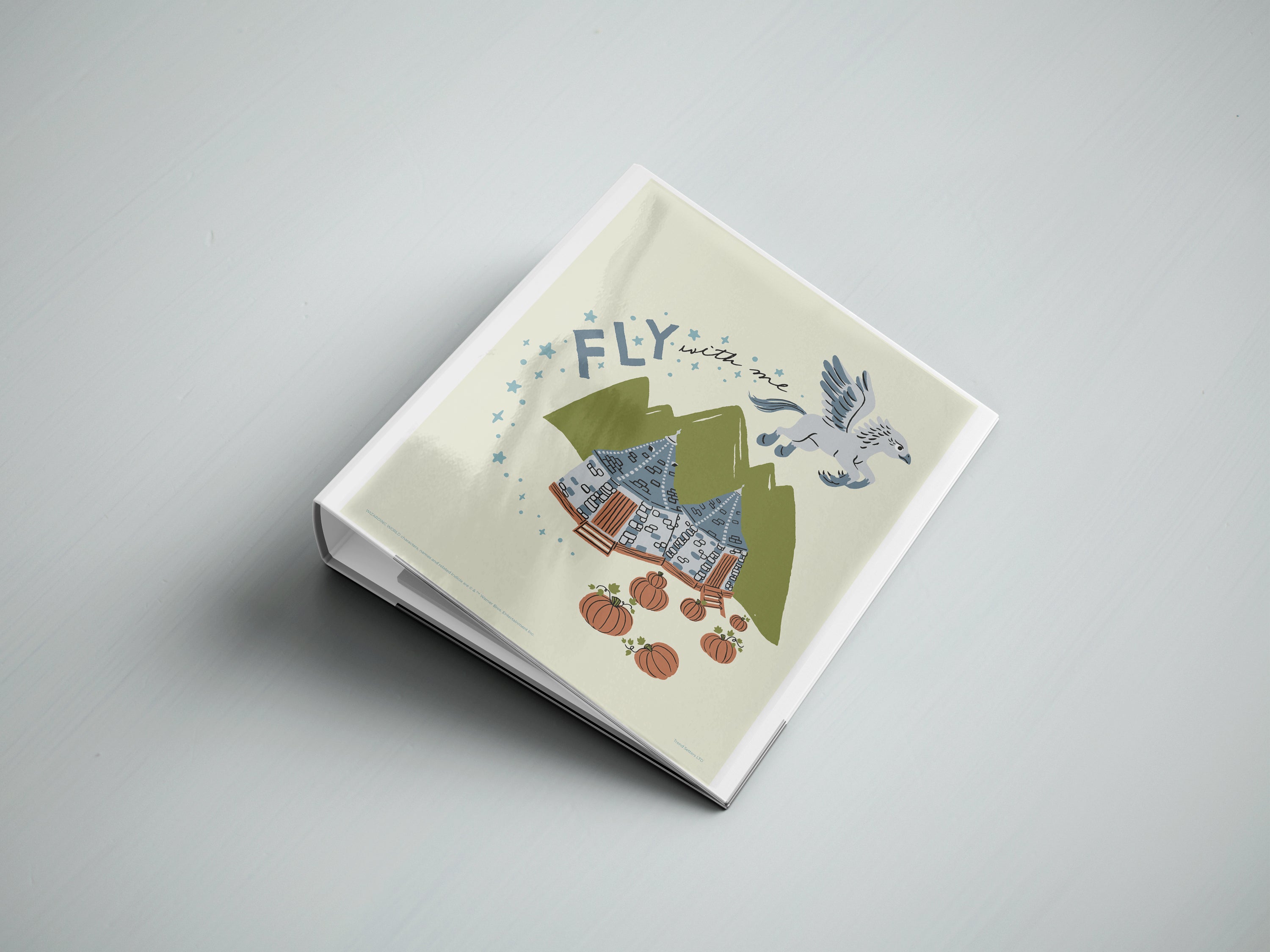 Harry Potter (Magic by Birth) TrendyPrint Wall Art Set of Four TP08100353