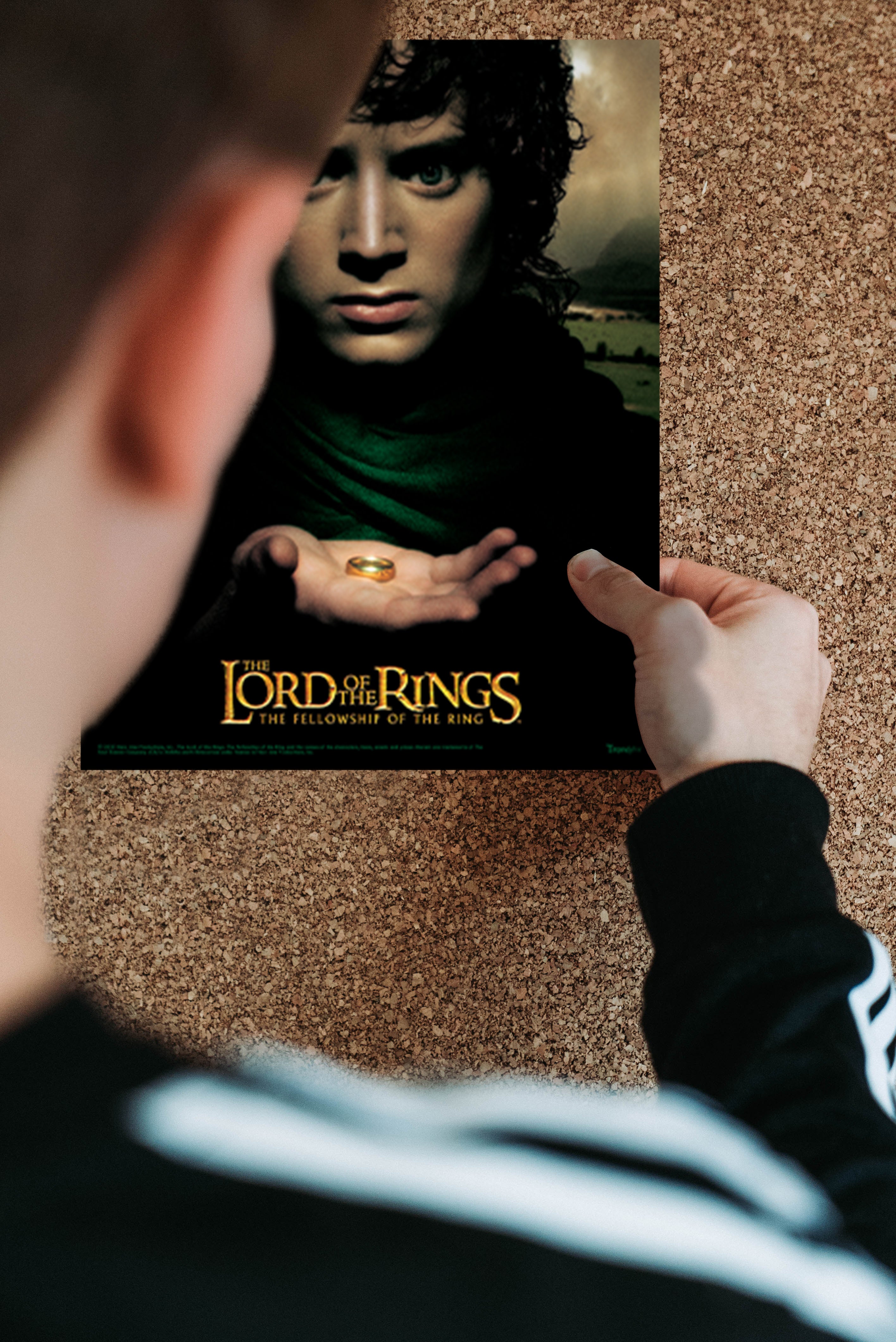 The Lord of The Rings Trilogy (One Ring) TrendyPrint™ Wall Art Set TP08100627