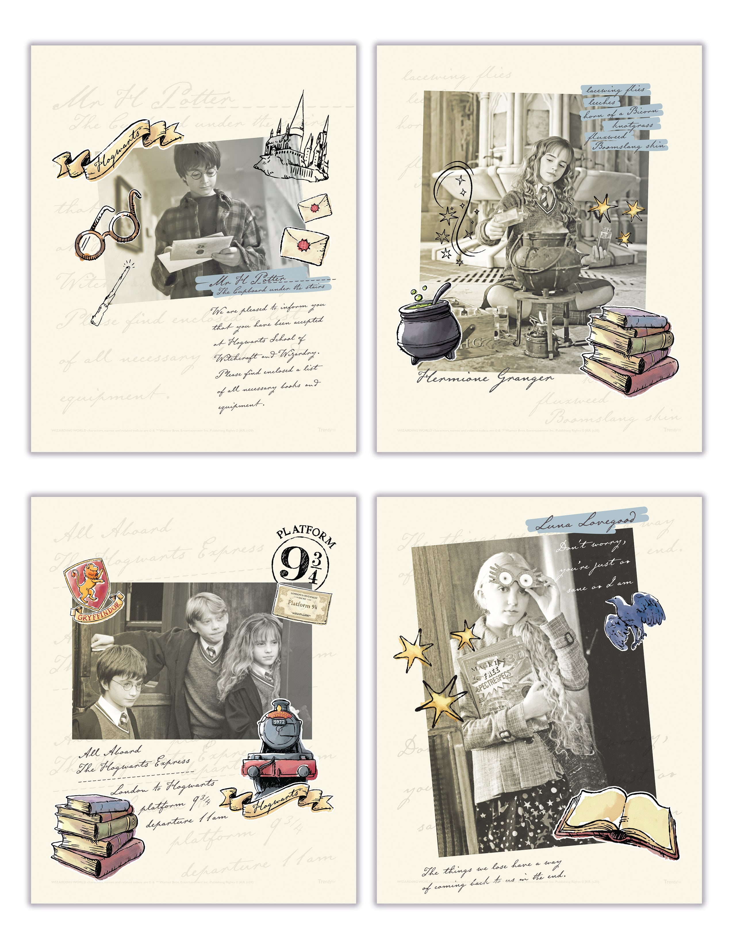 Harry Potter (Magical Moments) TrendyPrint™ Wall Art Set TP08100646