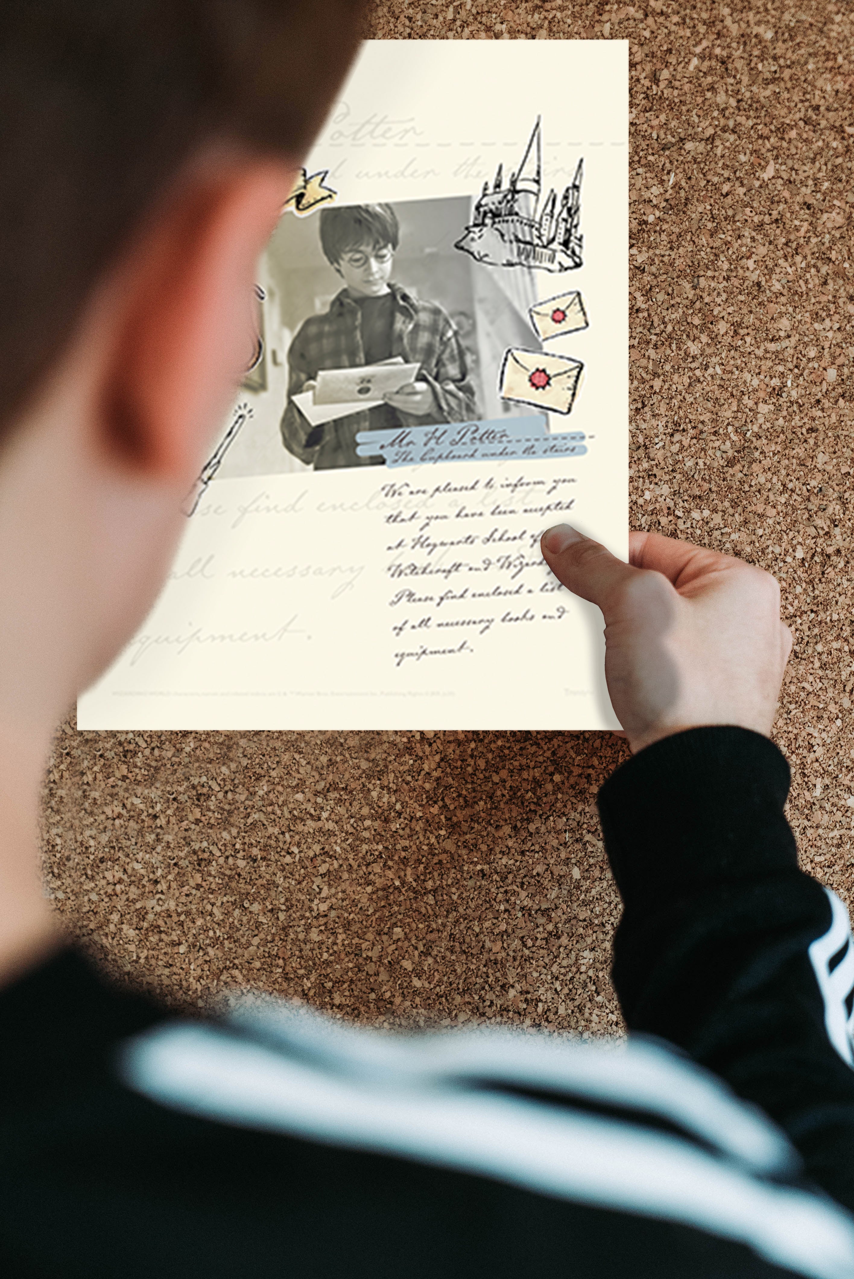 Harry Potter (Magical Moments) TrendyPrint™ Wall Art Set TP08100646