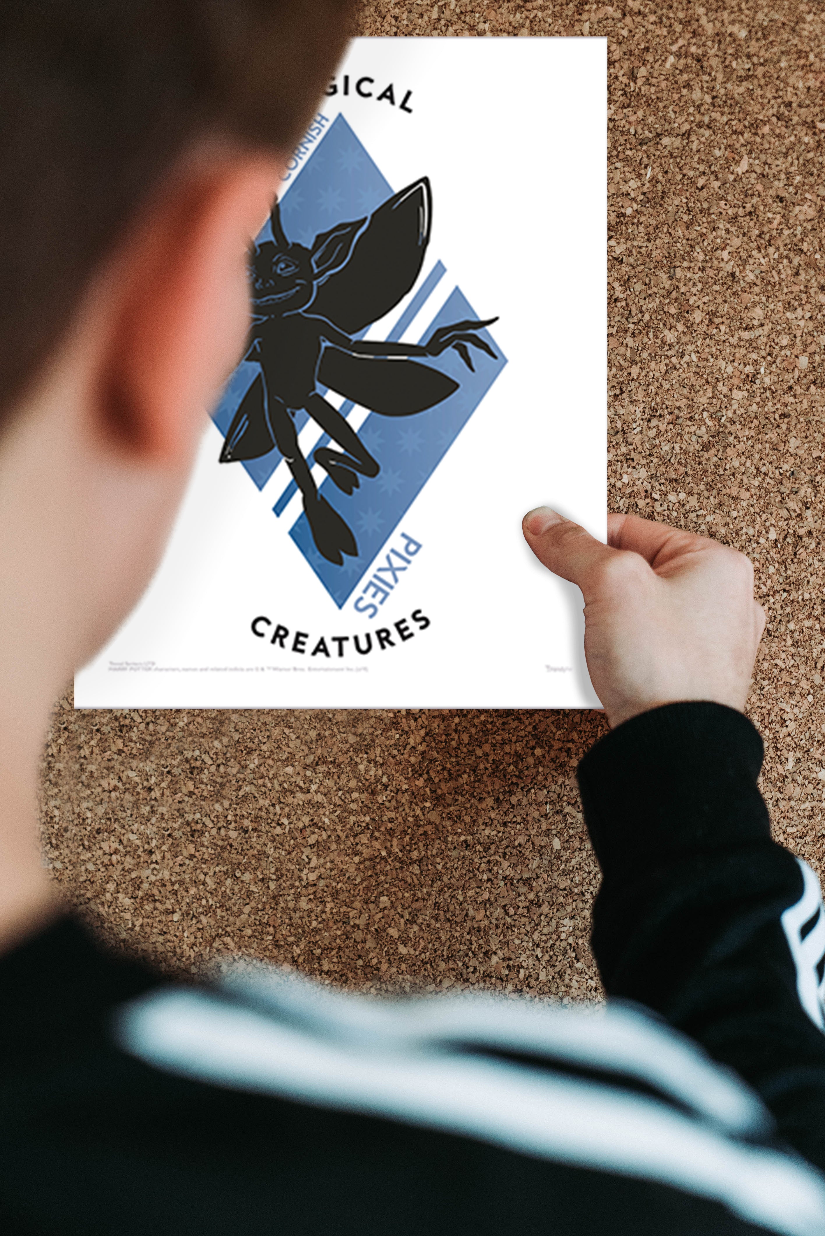 Harry Potter (Magical Creatures) TrendyPrint™ Wall Art Set TP08100696