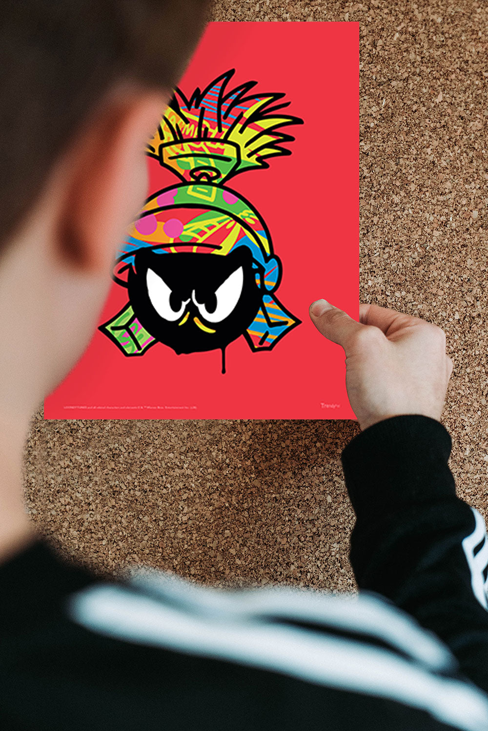 Looney Tunes (Graffiti Portraits) TrendyPrint™ Wall Art Set TP08100701