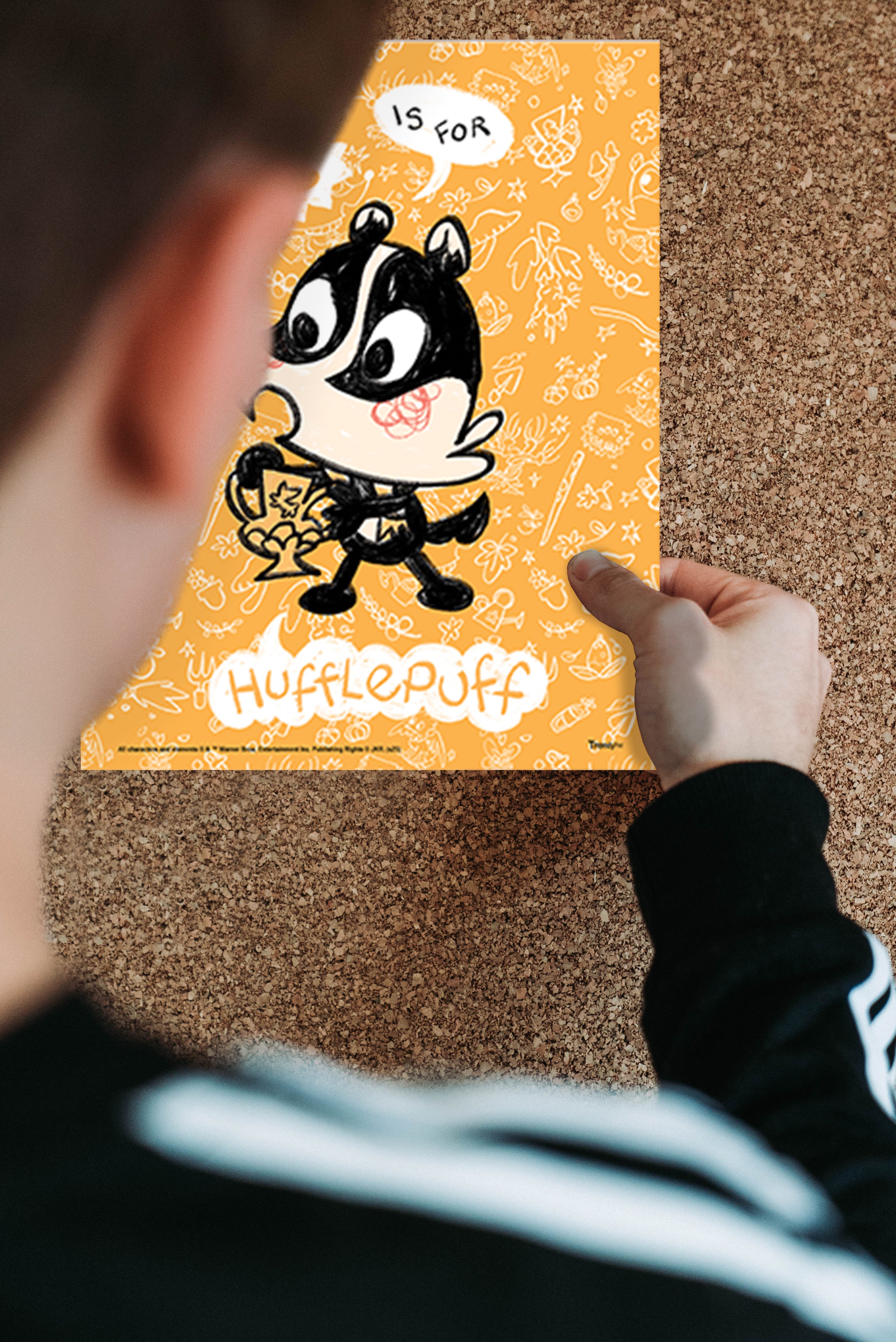 Harry Potter (Hogwarts Alphabet) TrendyPrint™ Wall Art Set TP08100807