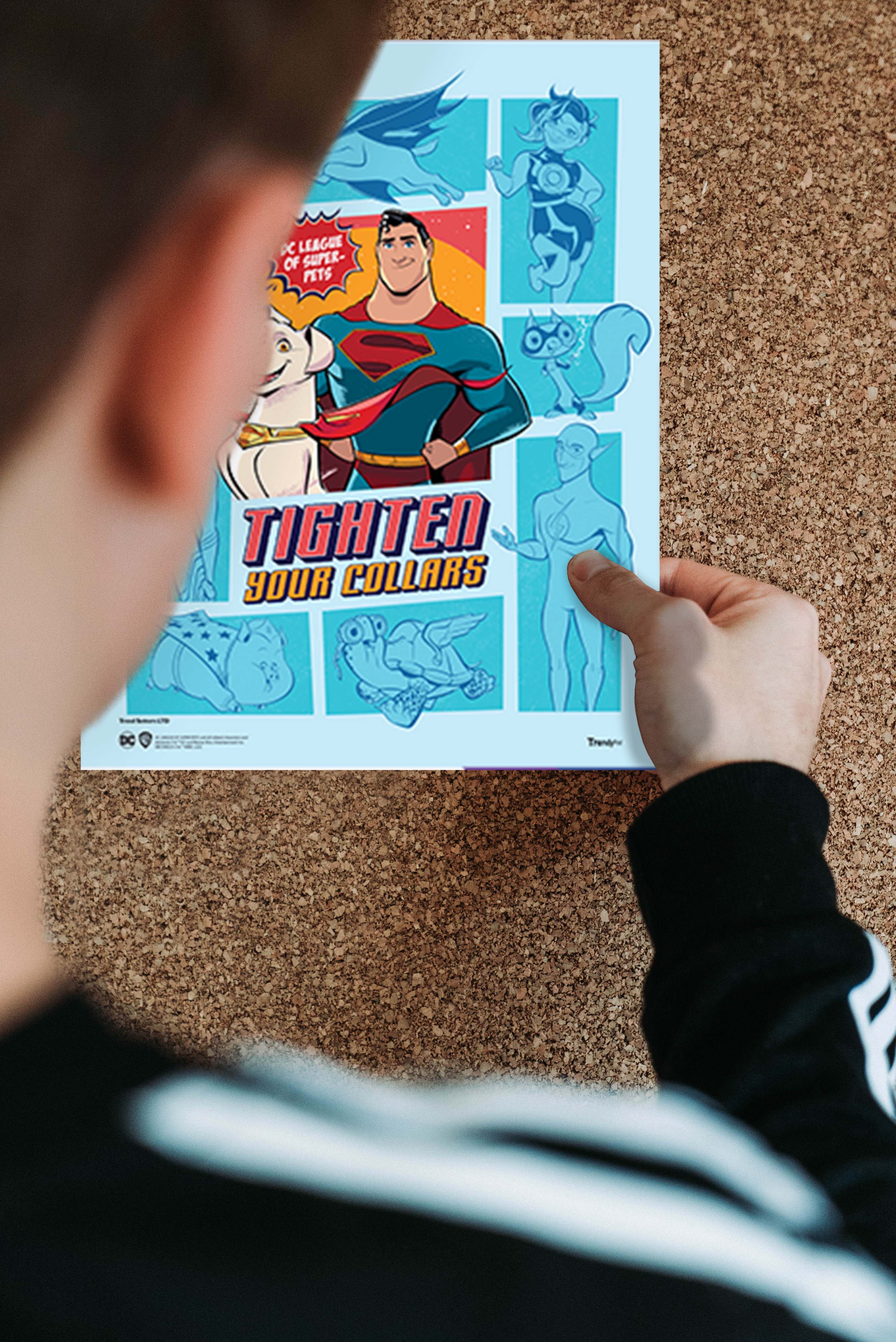 DC League of Super-Pets (Supermans Best Friend) TrendyPrint™ Set  TP08100859