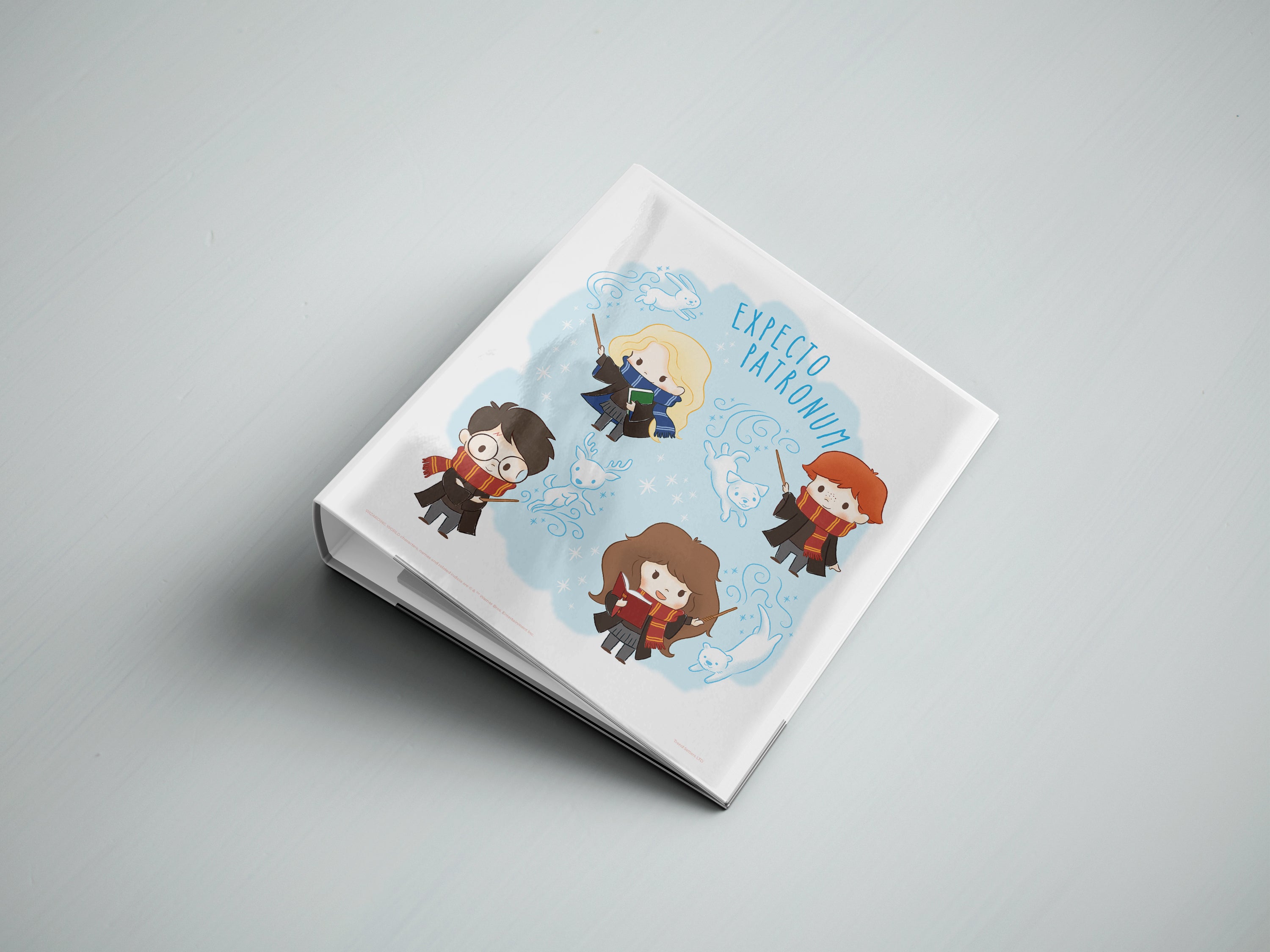 Harry Potter (Tiny Magic- Life at Hogwarts) TrendyPrint Wall Art Set of Four TP08100917