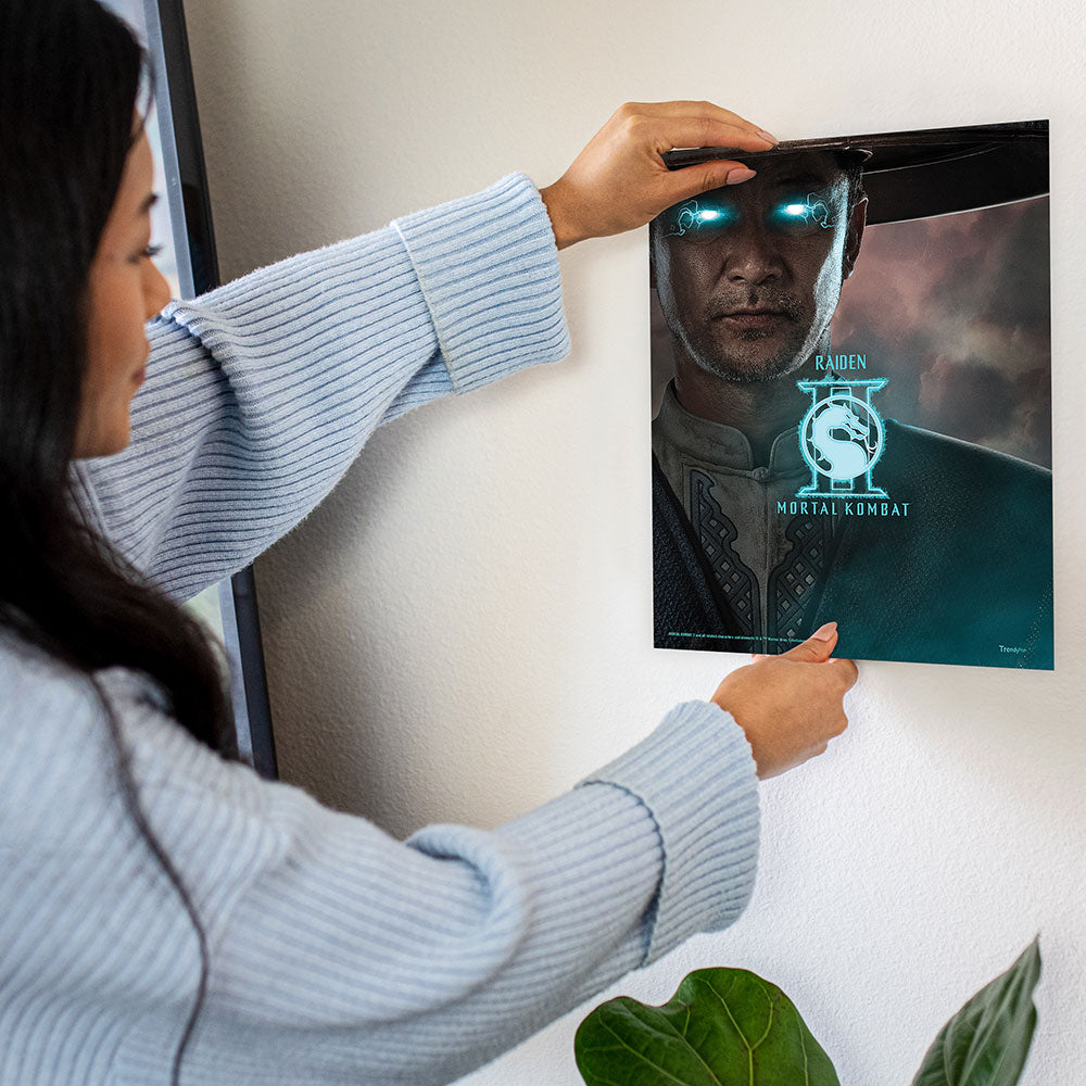 Mortal Kombat 2 (Raiden, Johnny Cage, Shang Tsung, and Baraka) TrendyPrint™ Wall Art Set TP08100918