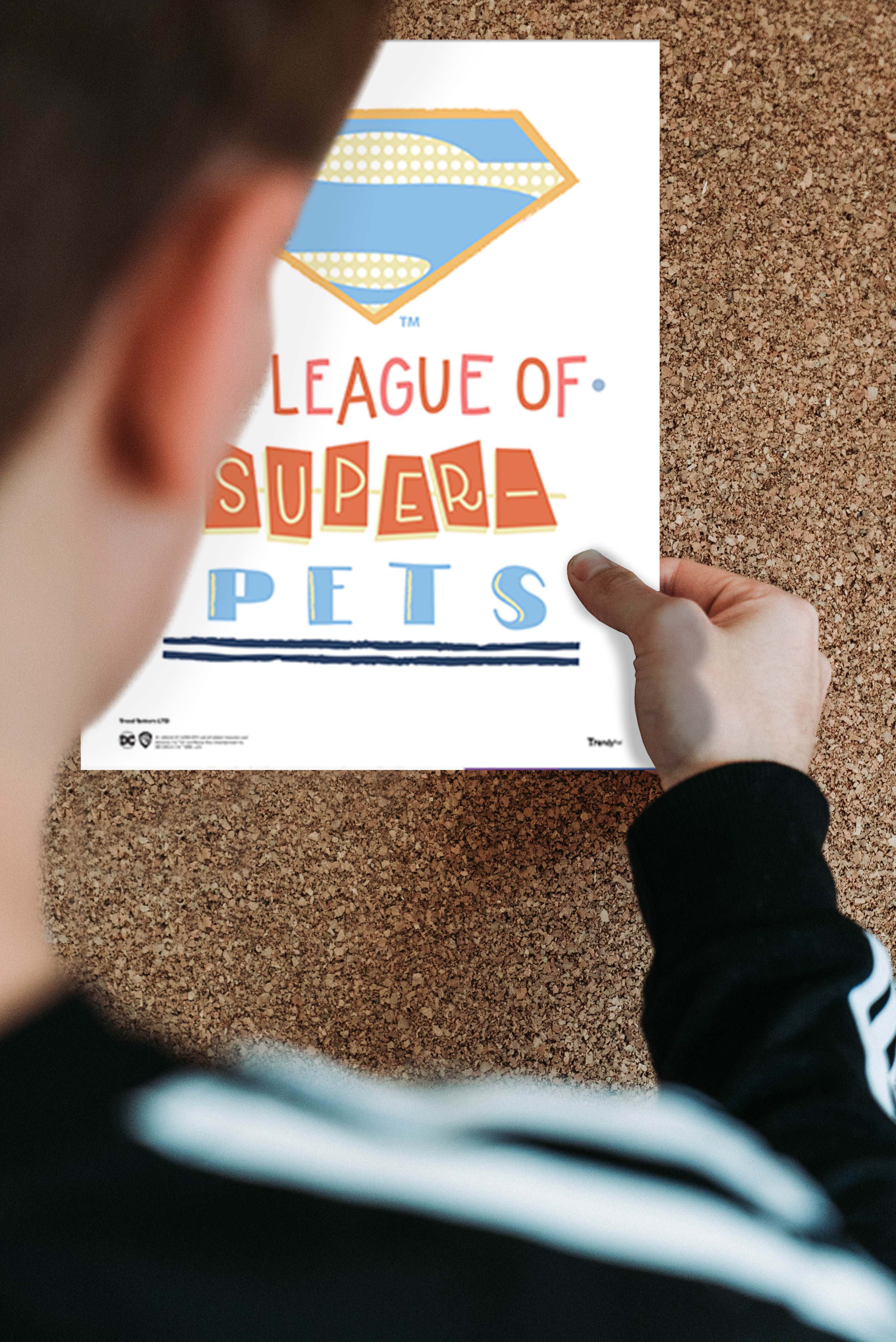 DC League of Super-Pets (Doodles) TrendyPrint™ Set  TP08100555