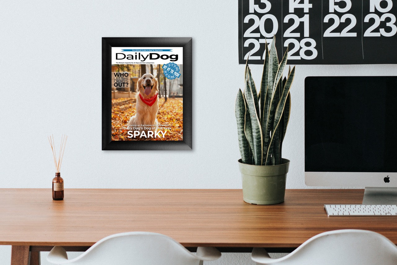 Trend Setters Original (Dog Magazine - Personalized) Framed TrendyPrint™ Wall Art TPFU08100008CLA
