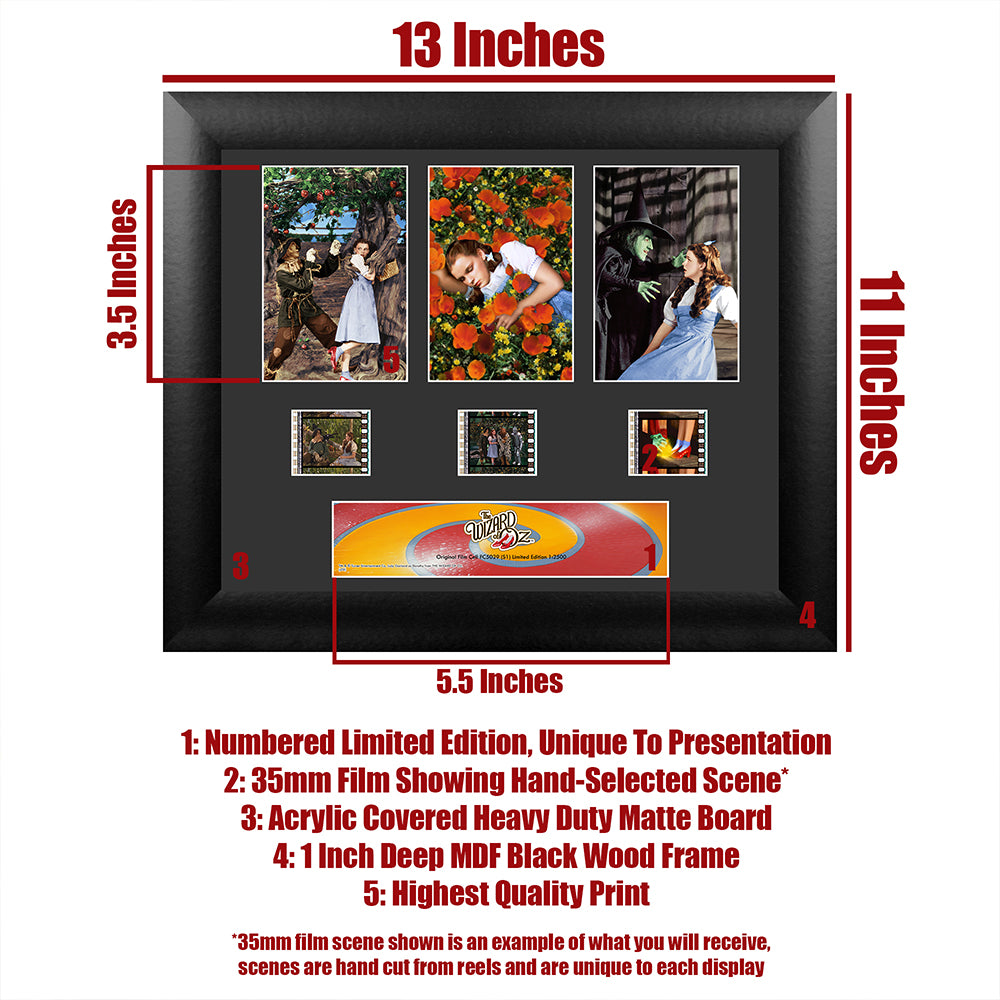 The Wizard of Oz (S1) 3 Cell Standard FilmCells Wall Art Presentation USFC5029