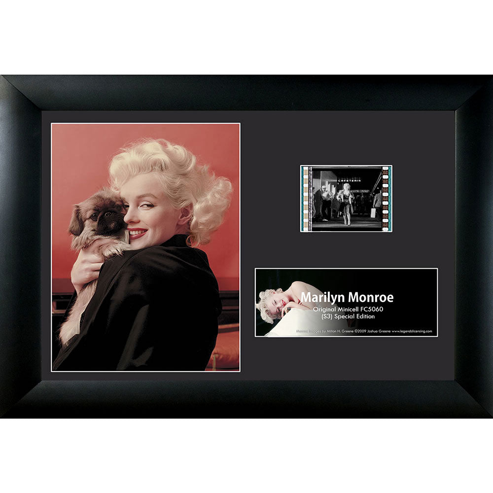 Marilyn Monroe (Pekinese Puppy) Minicell FilmCells Framed Desktop Presentation USFC5060