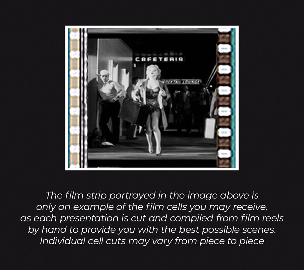 Marilyn Monroe (Pekinese Puppy) Minicell FilmCells Framed Desktop Presentation USFC5060