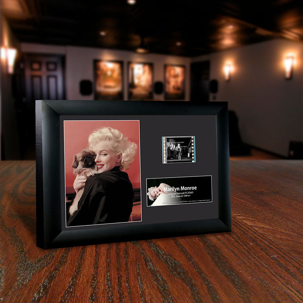 Marilyn Monroe (Pekinese Puppy) Minicell FilmCells Framed Desktop Presentation USFC5060