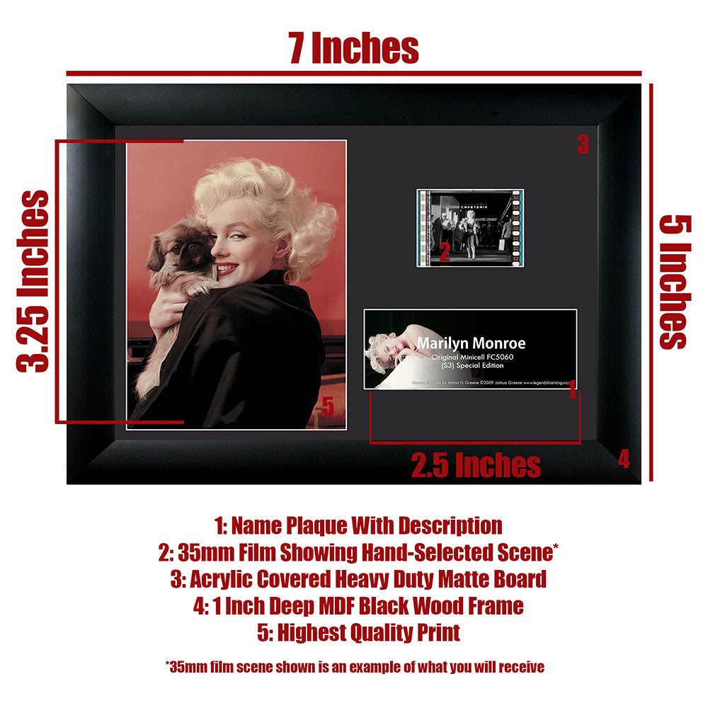 Marilyn Monroe (Pekinese Puppy) Minicell FilmCells Framed Desktop Presentation USFC5060