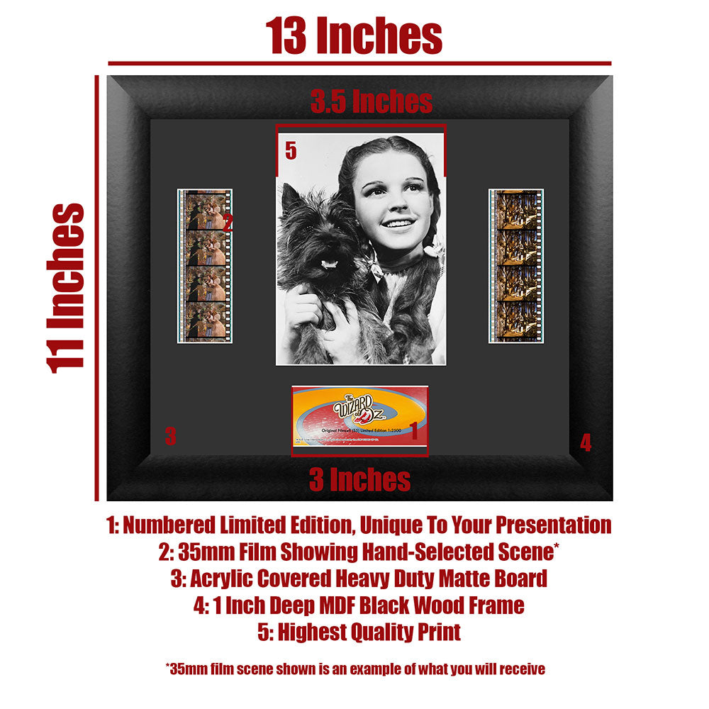 The Wizard of Oz (S5) Limited Edition Double FilmCells Presentation USFC5097