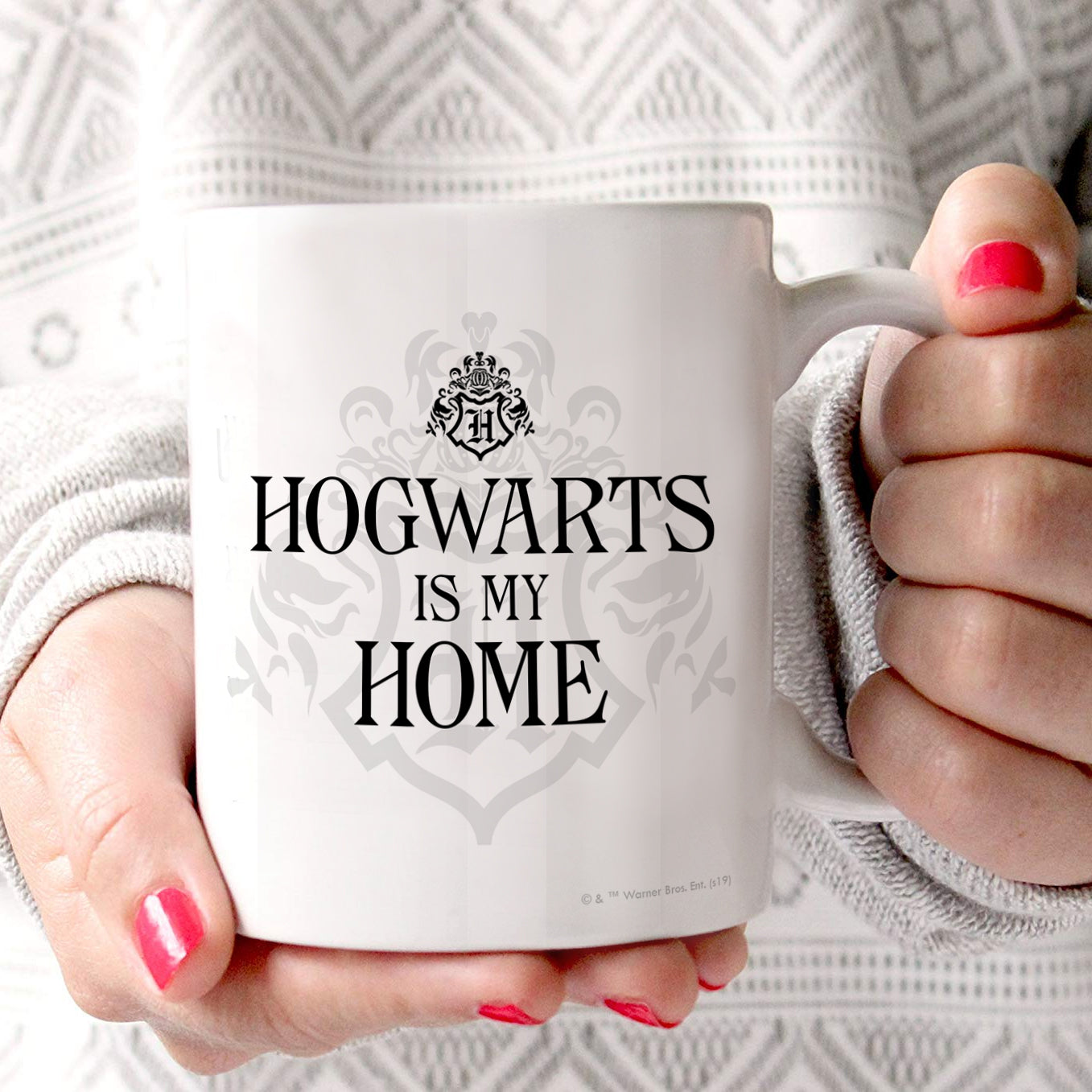 Harry Potter (Hogwarts is My Home) 11 oz Ceramic Mug WMUG1050