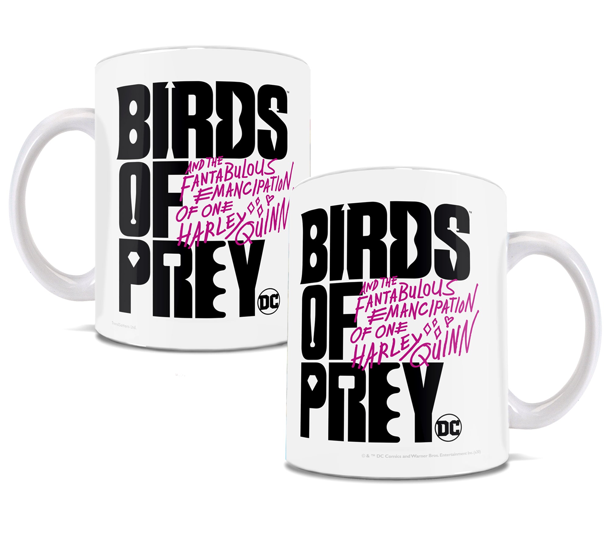 Birds Of Prey (Birds of Prey) 11 oz Ceramic Mug WMUG1073